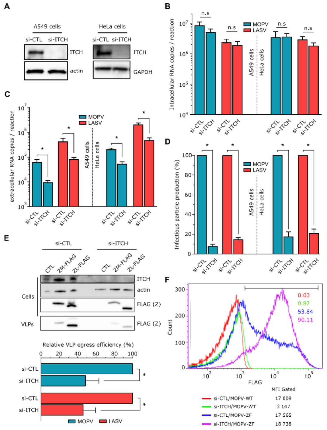 Viruses 12 00049 g004