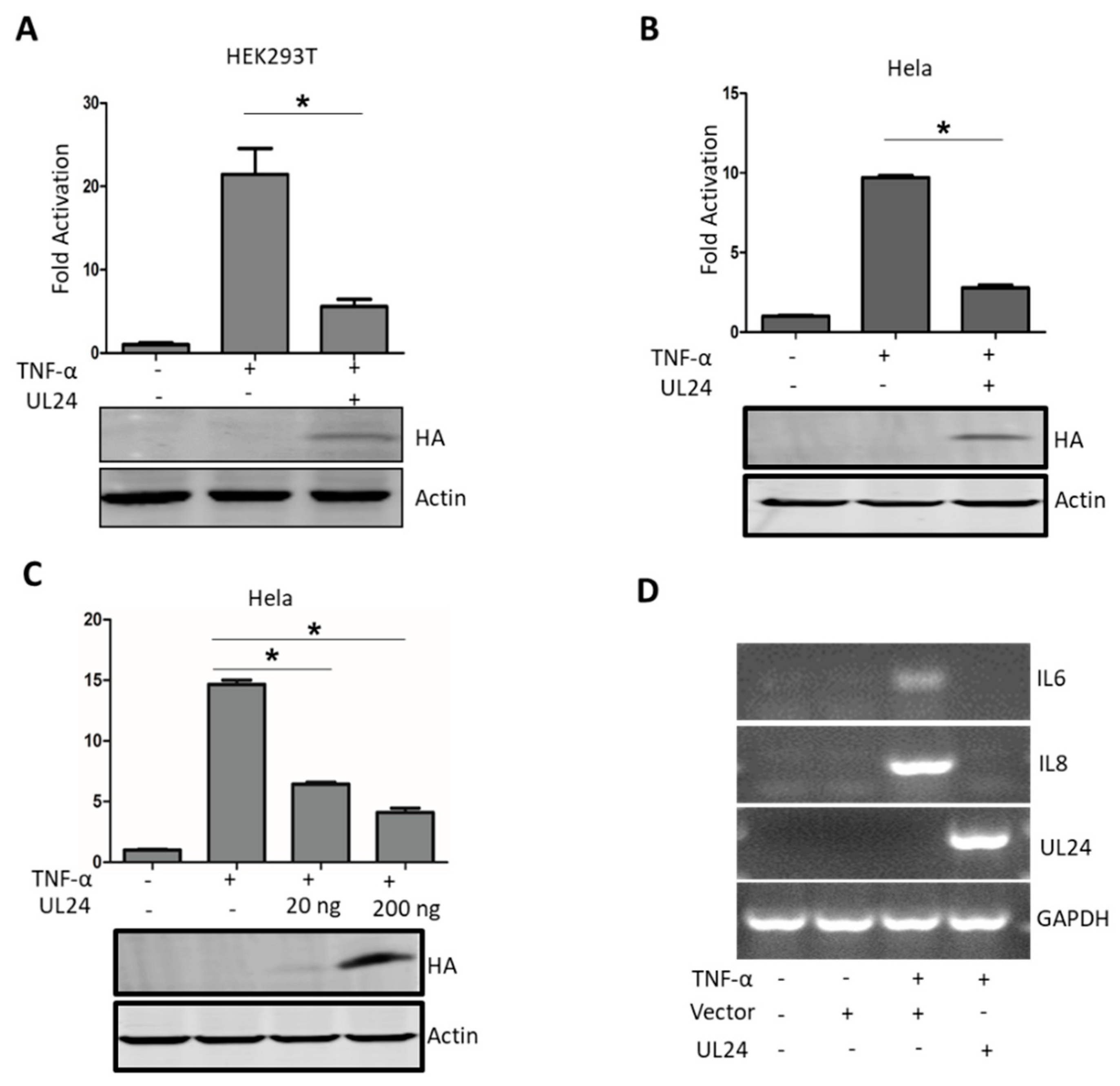 Viruses 12 00051 g001 Viruses 12 00051 g001