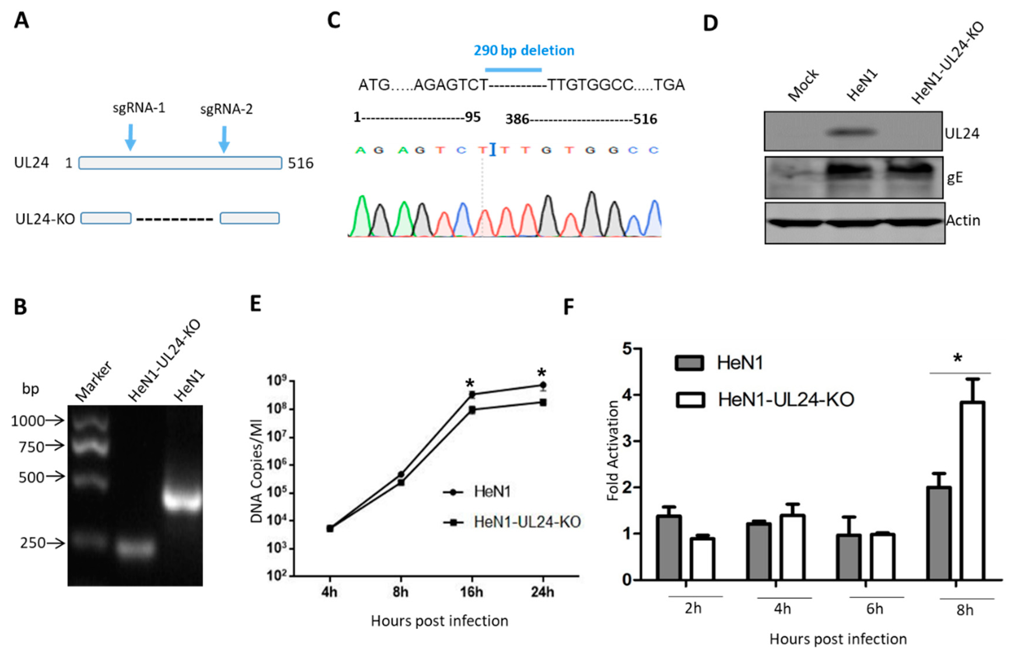 Viruses 12 00051 g002 Viruses 12 00051 g002