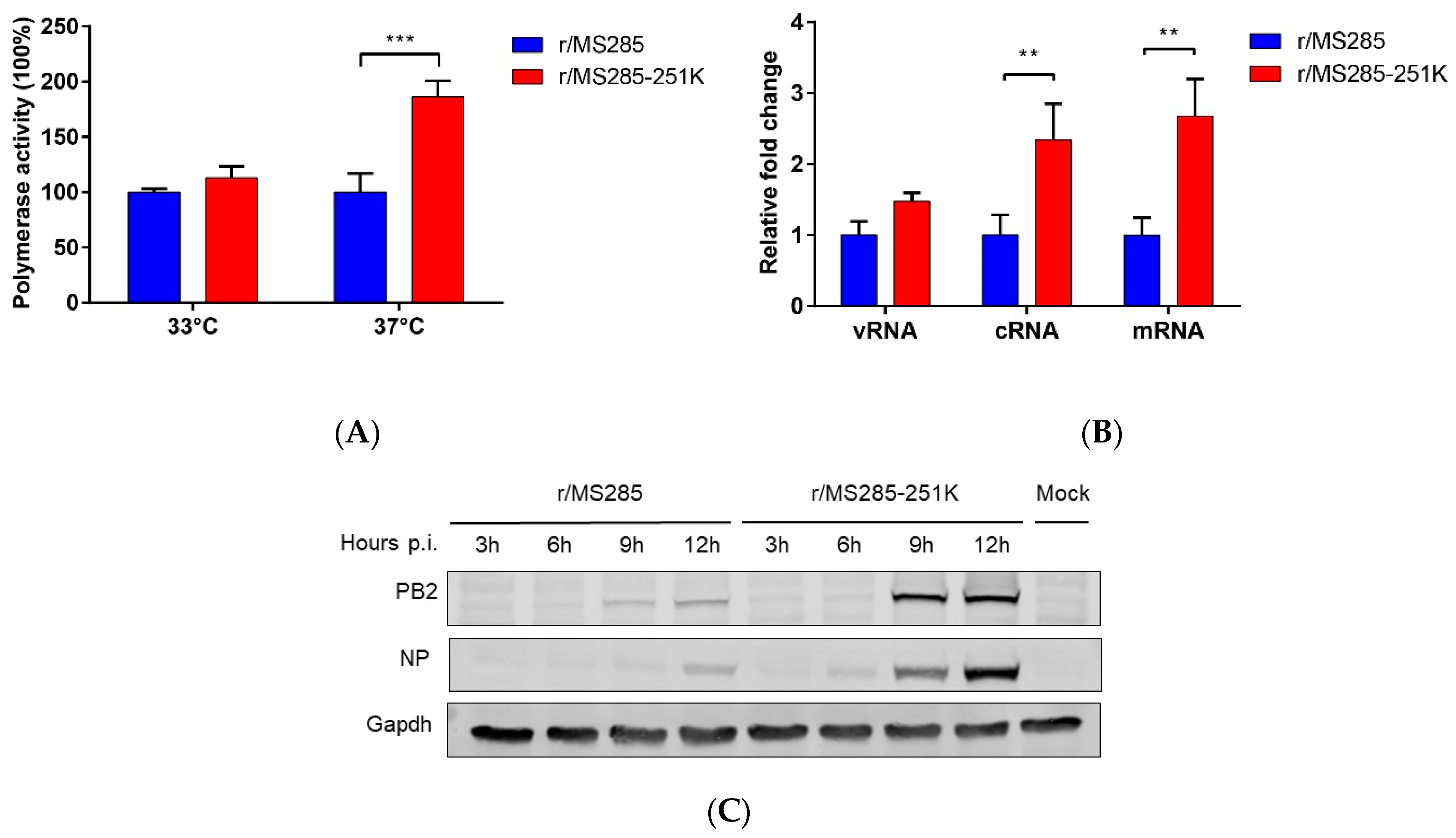 Viruses 12 00052 g005