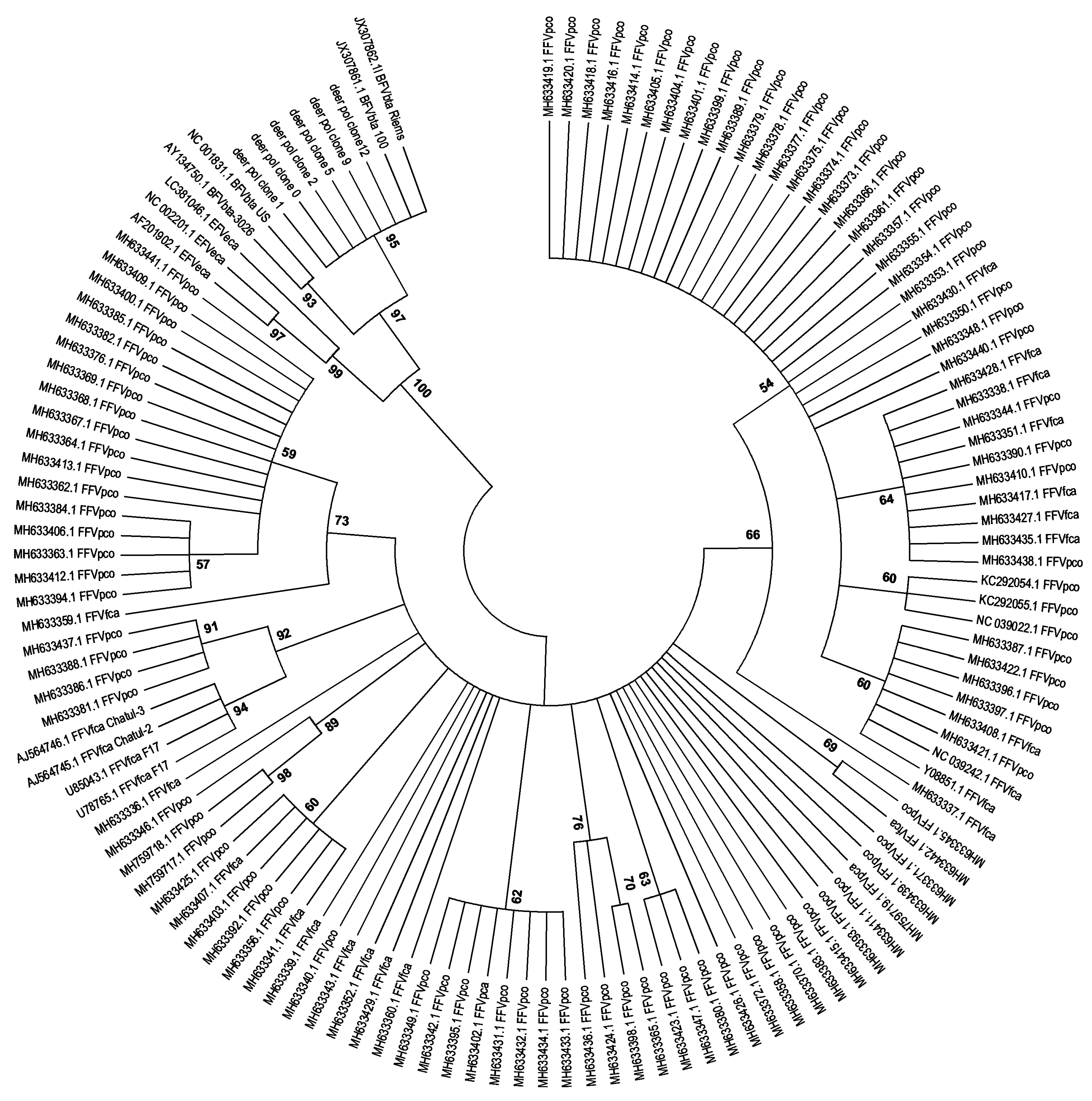 Viruses 12 00058 g005