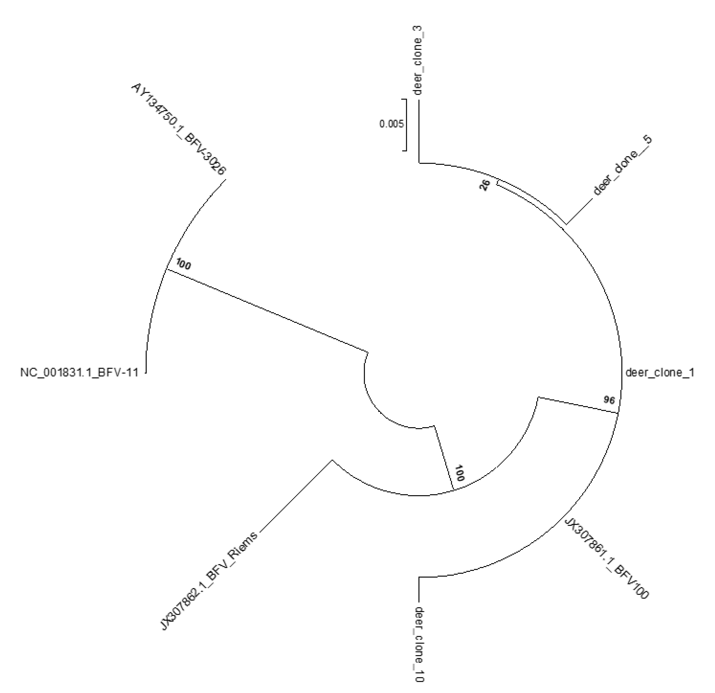 Viruses 12 00058 g007