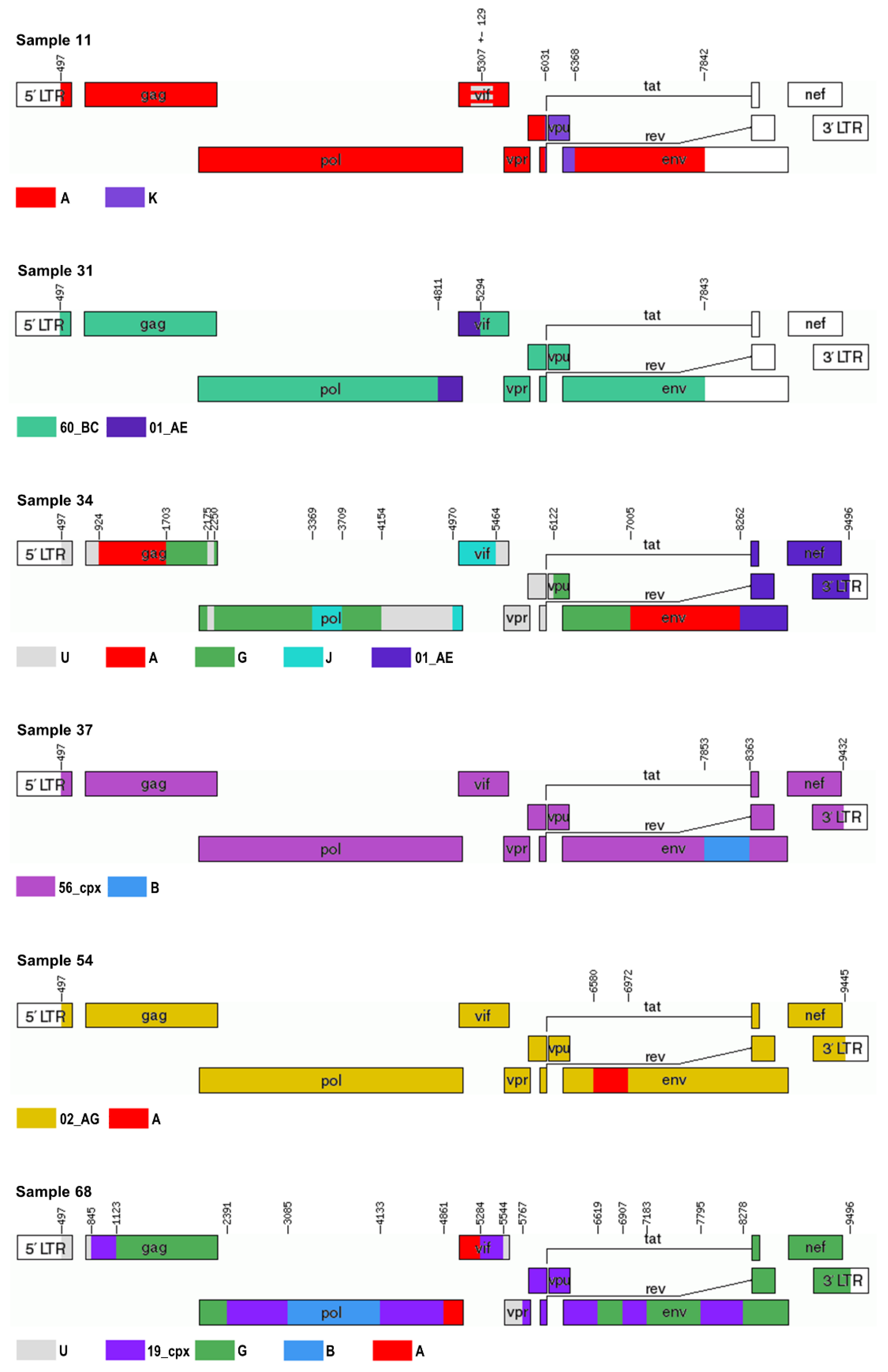 Viruses 12 00063 g003