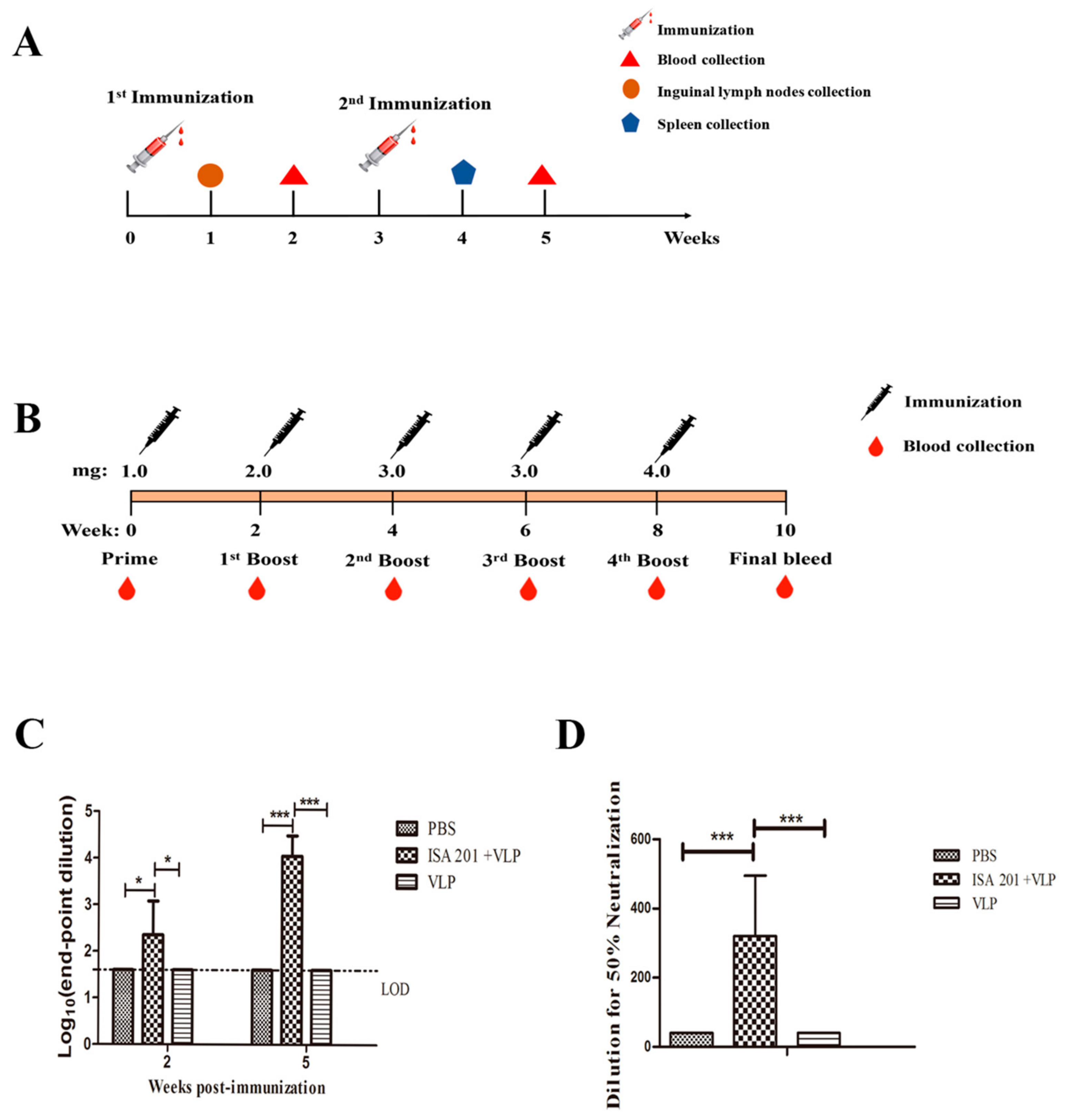 Viruses 12 00064 g004