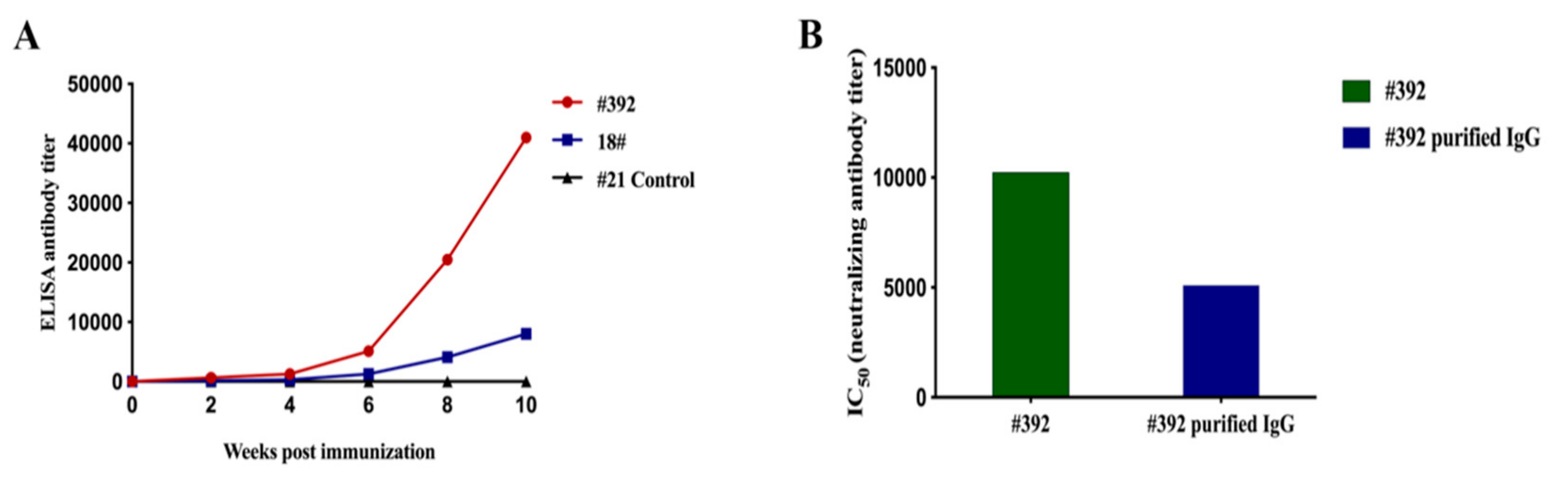 Viruses 12 00064 g008