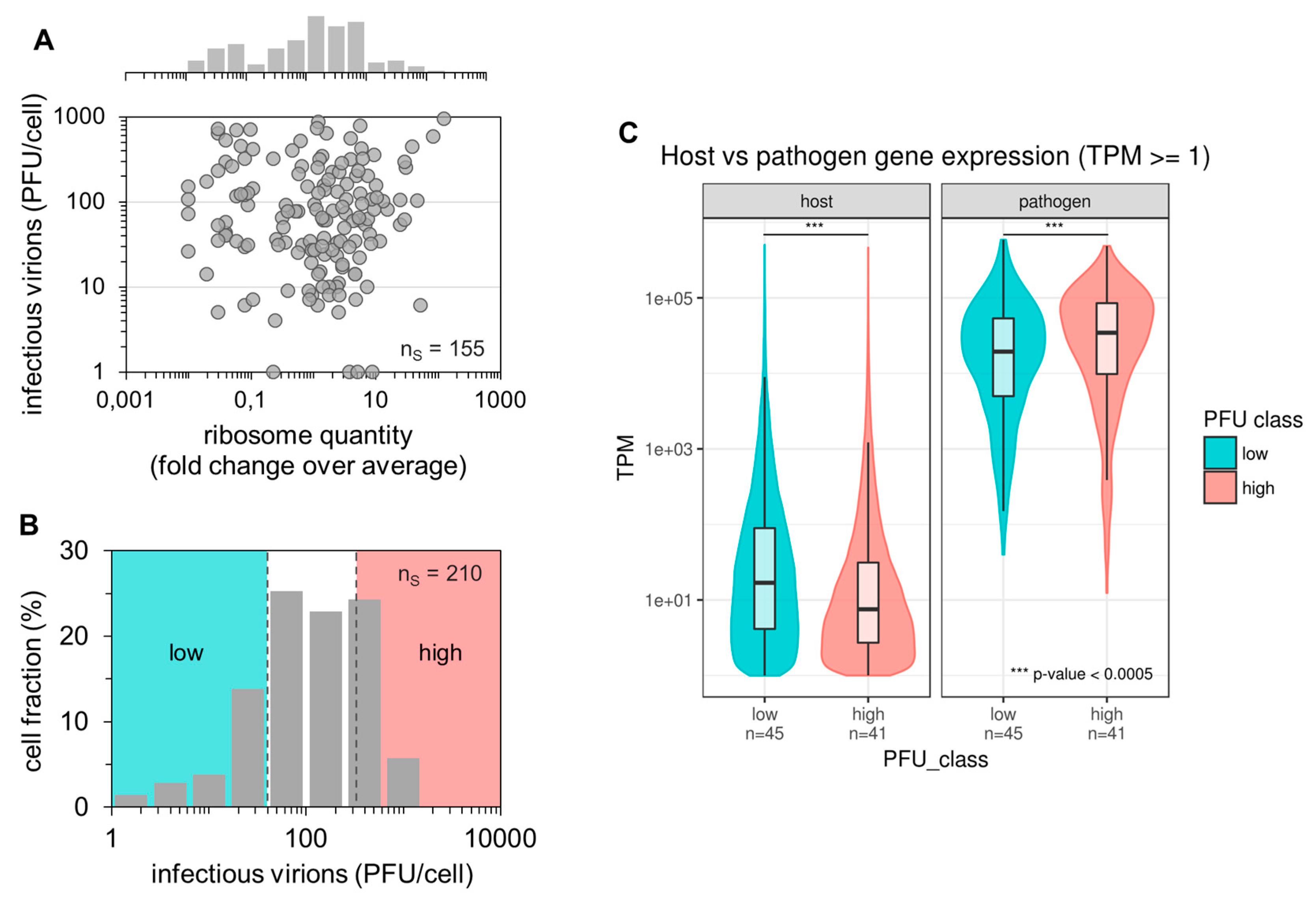 Viruses 12 00071 g003 Viruses 12 00071 g003