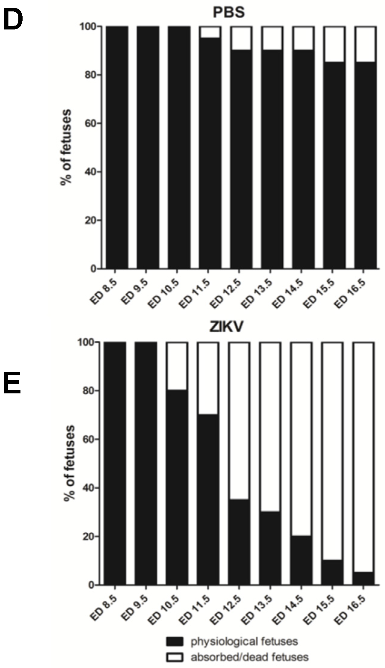 Viruses 12 00072 g001c Viruses 12 00072 g001c