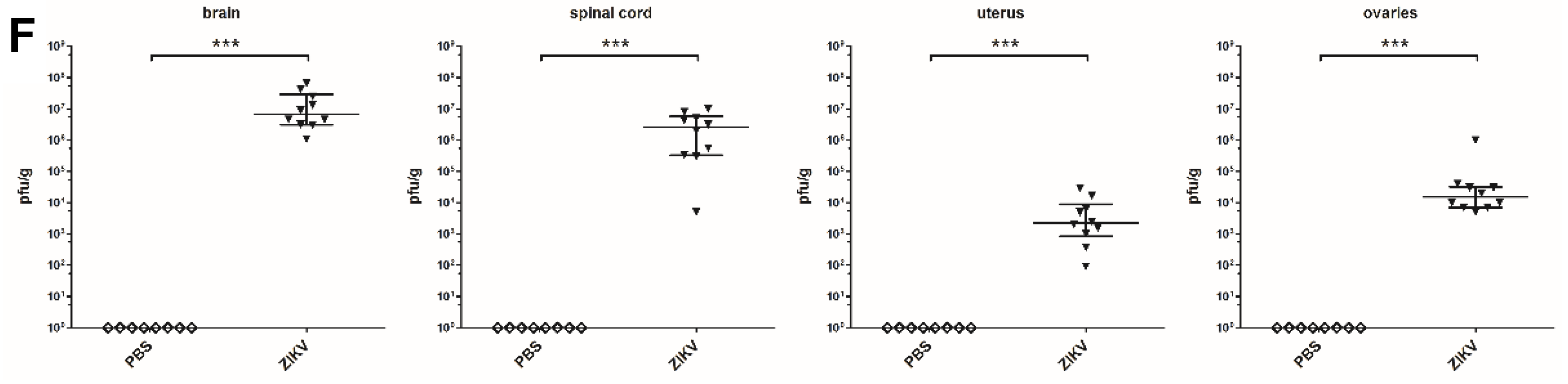 Viruses 12 00072 g004b Viruses 12 00072 g004b