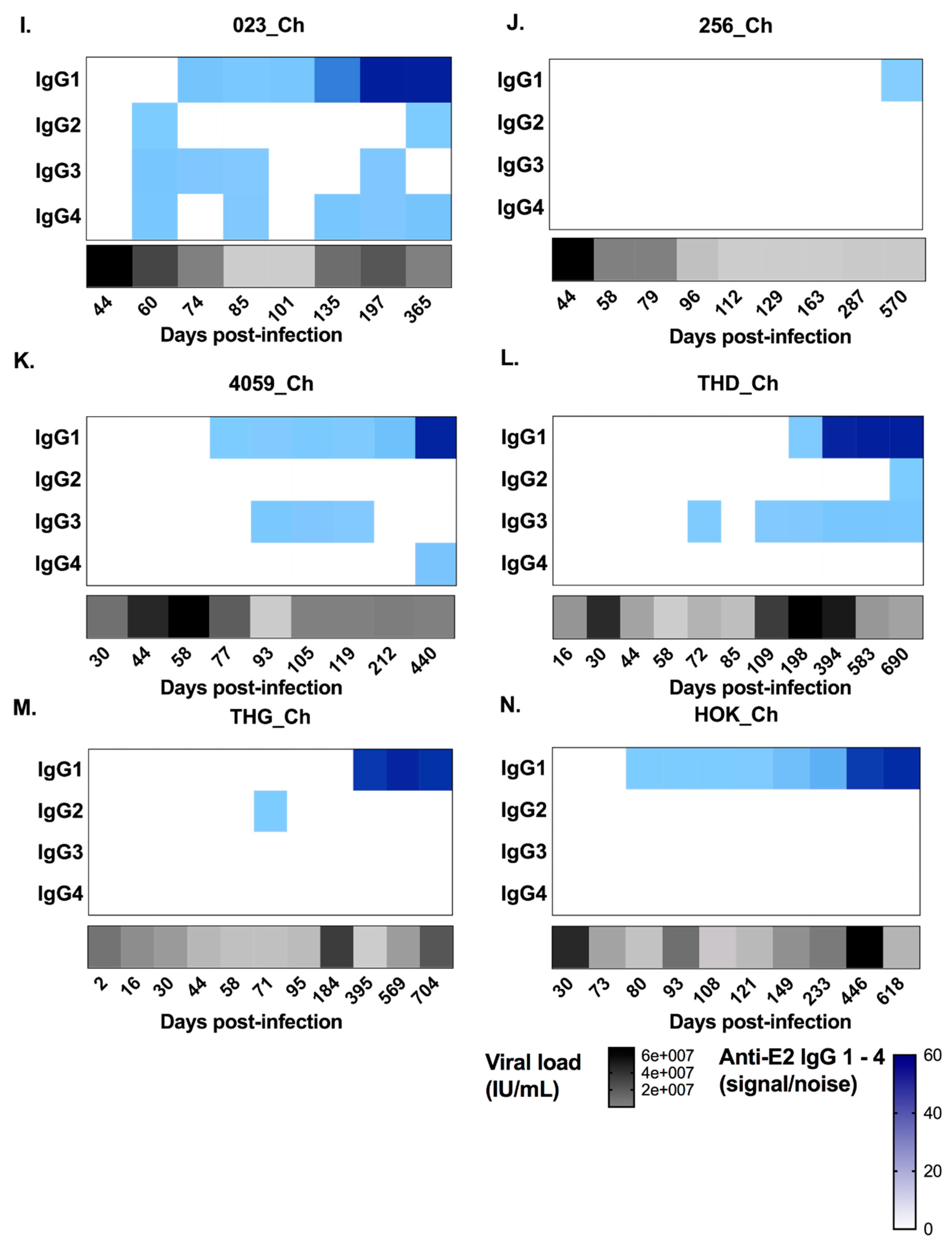 Viruses 12 00075 g004b Viruses 12 00075 g004b