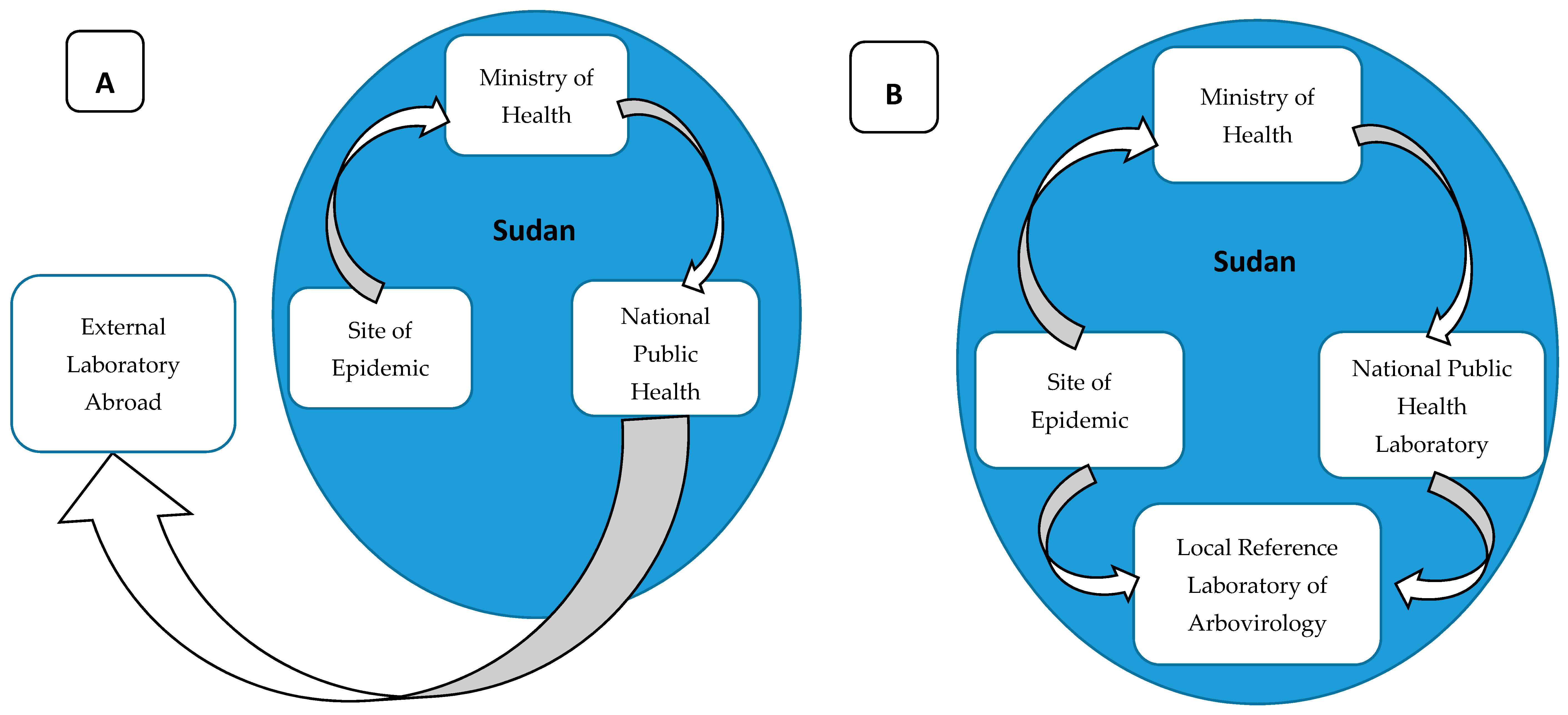 Viruses 12 00081 g008 Viruses 12 00081 g008