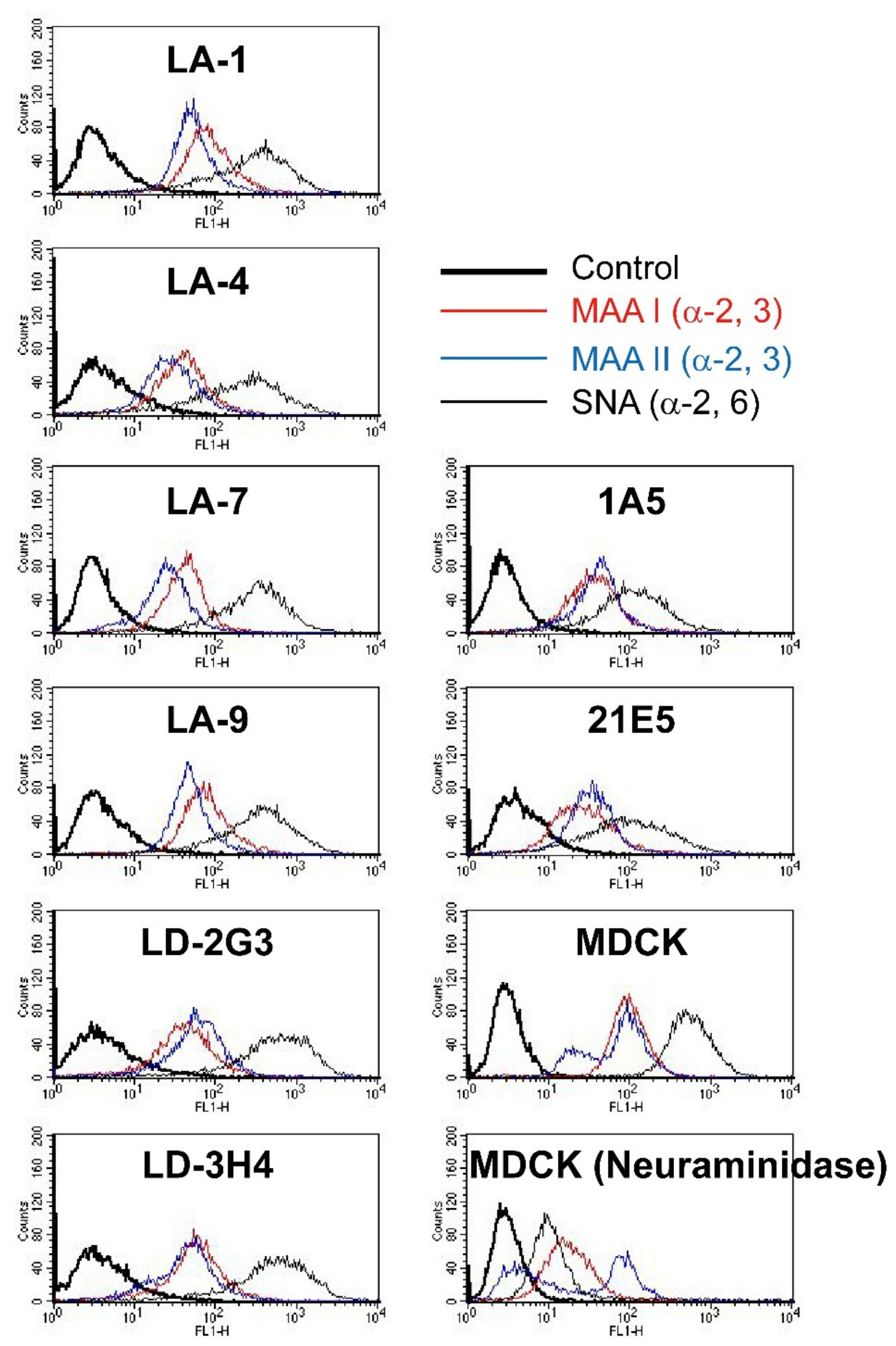Viruses 12 00082 g002