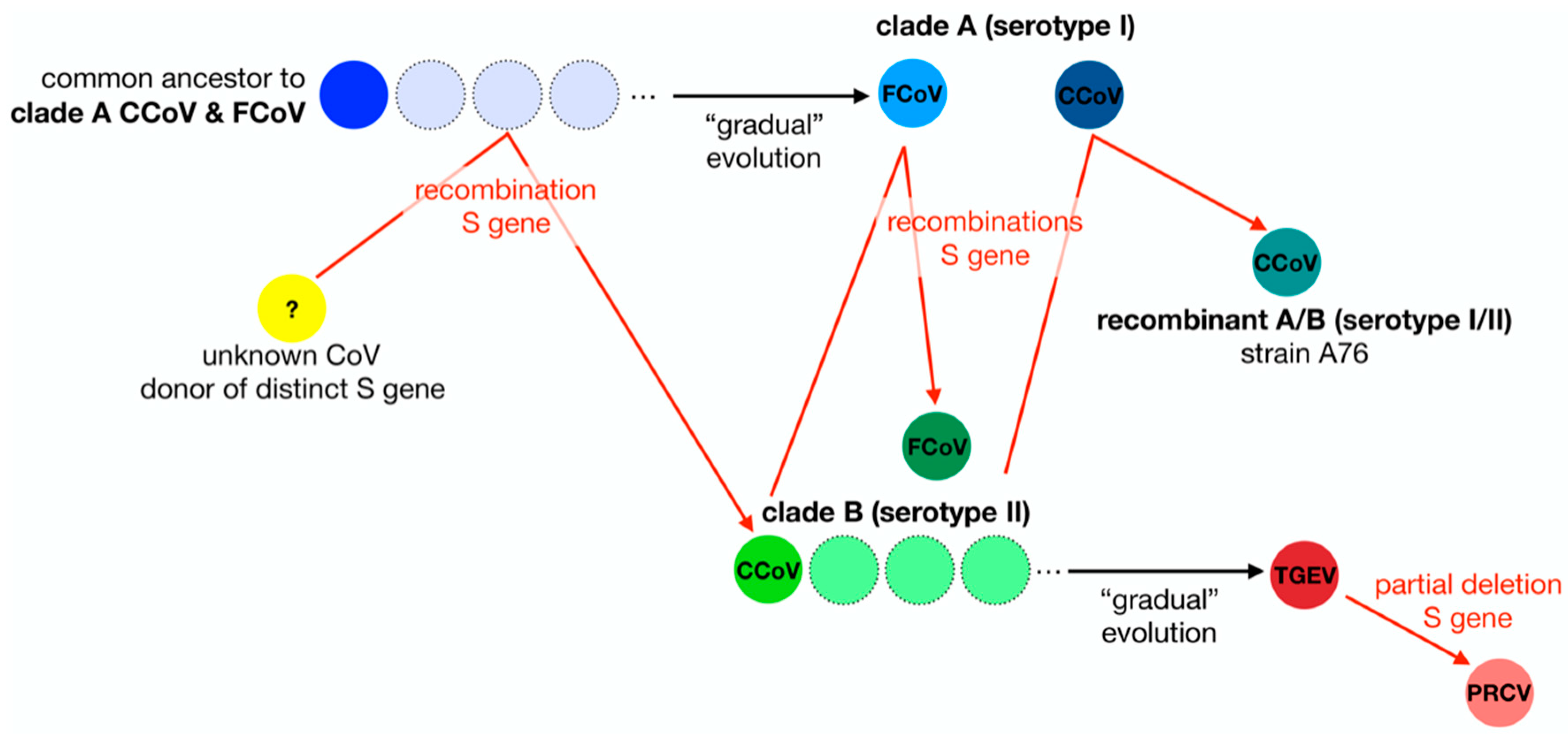 Viruses 12 00083 g001