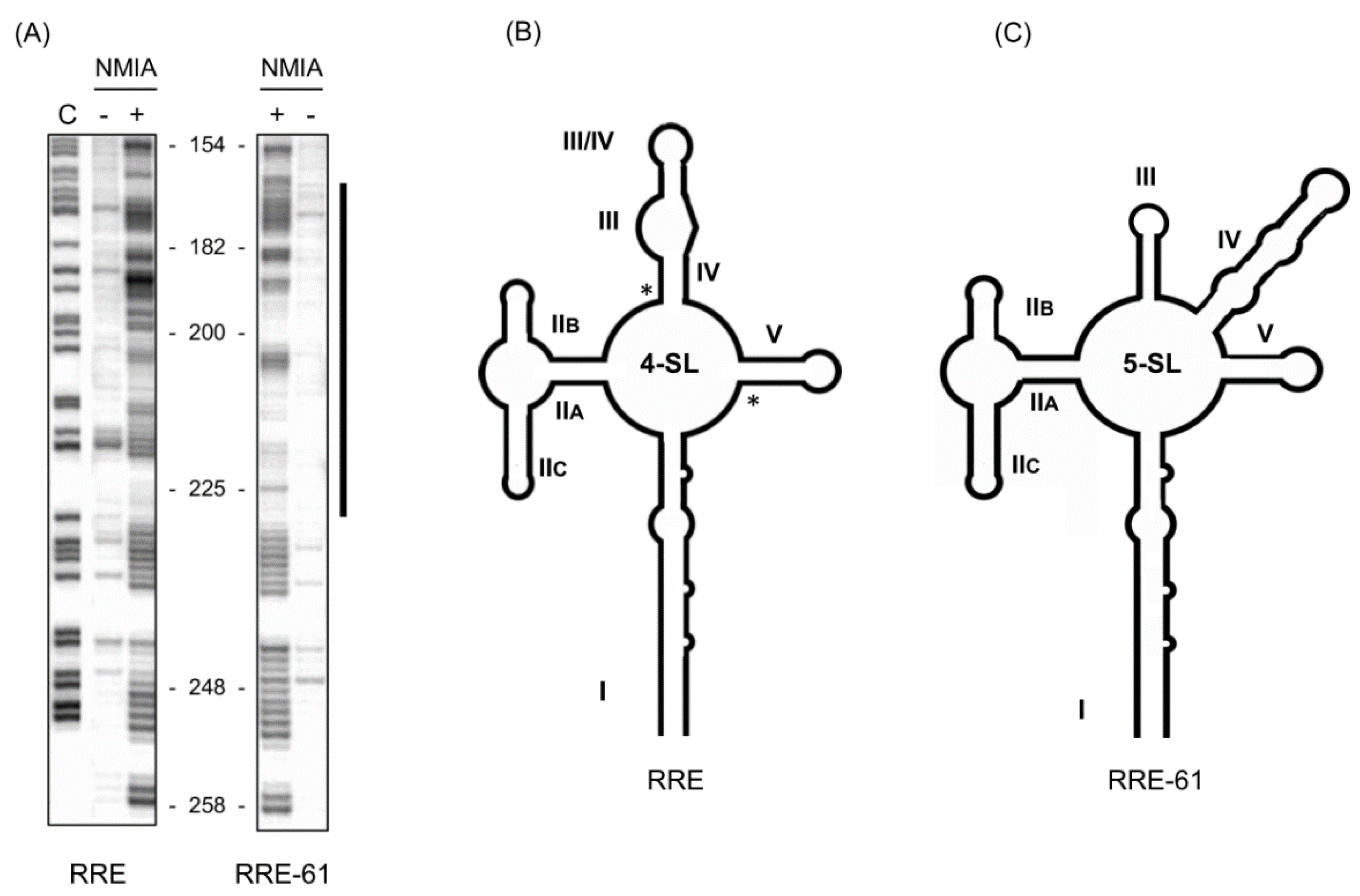 Viruses 12 00086 g002