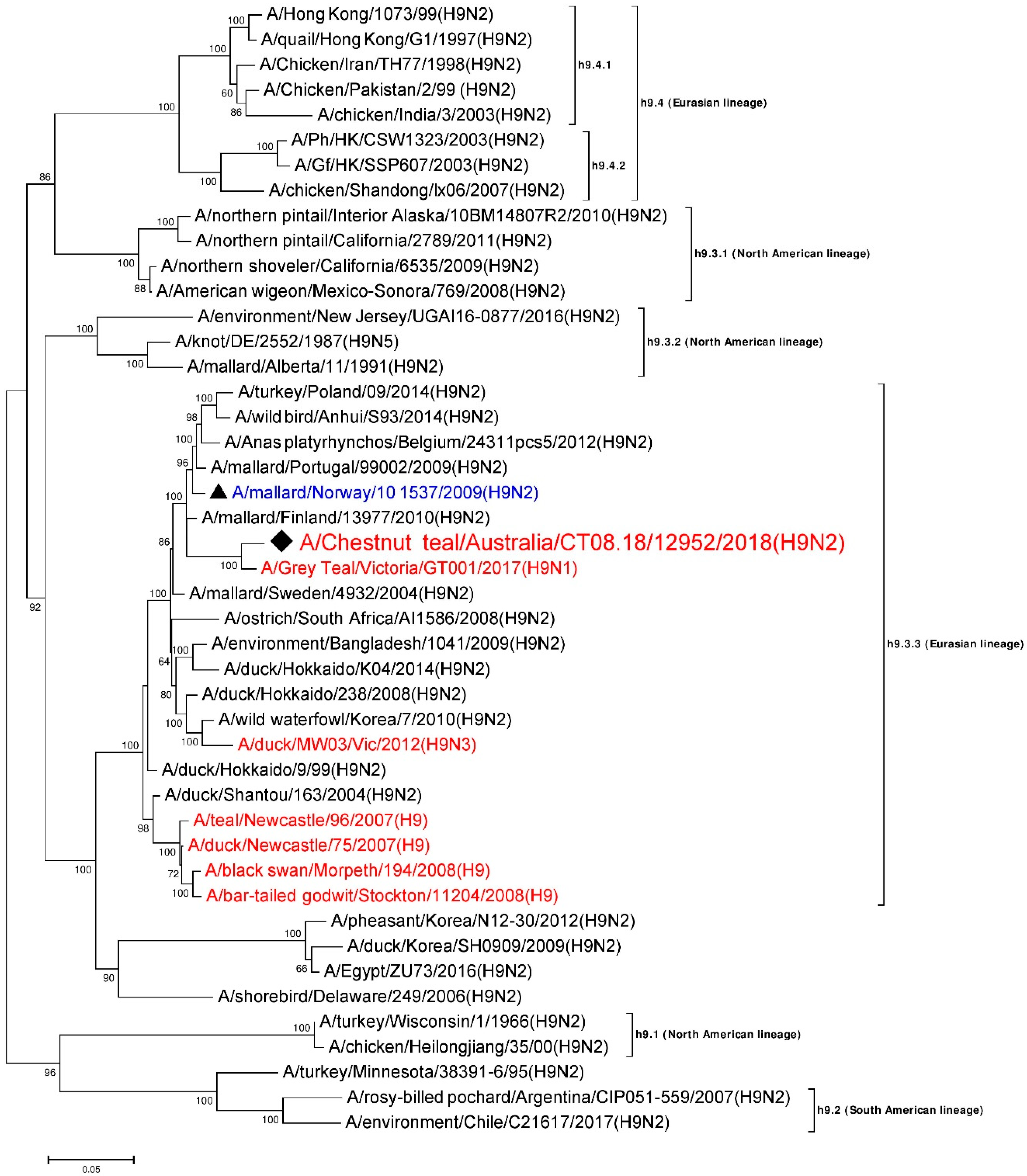 Viruses 12 00088 g001