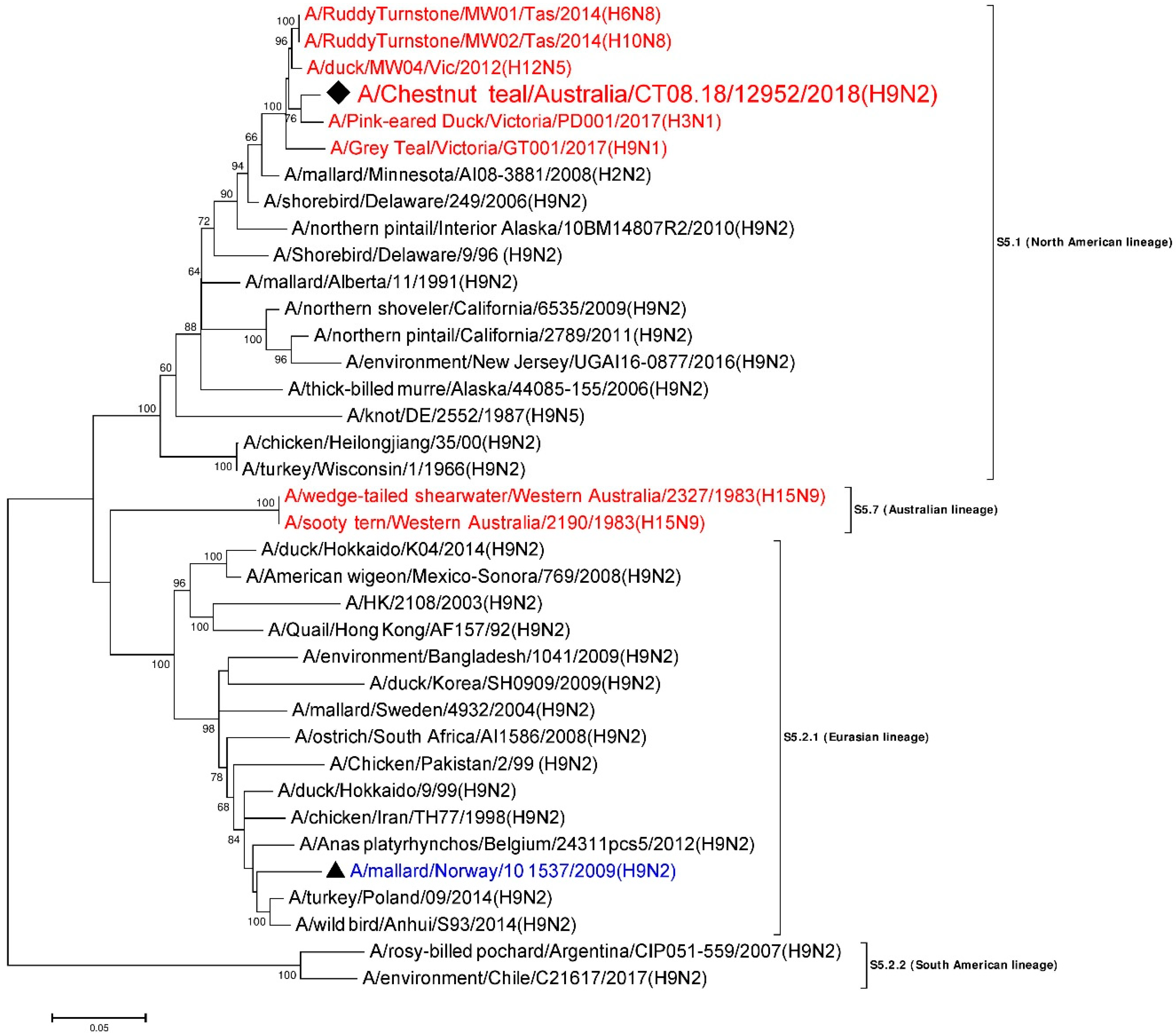 Viruses 12 00088 g003