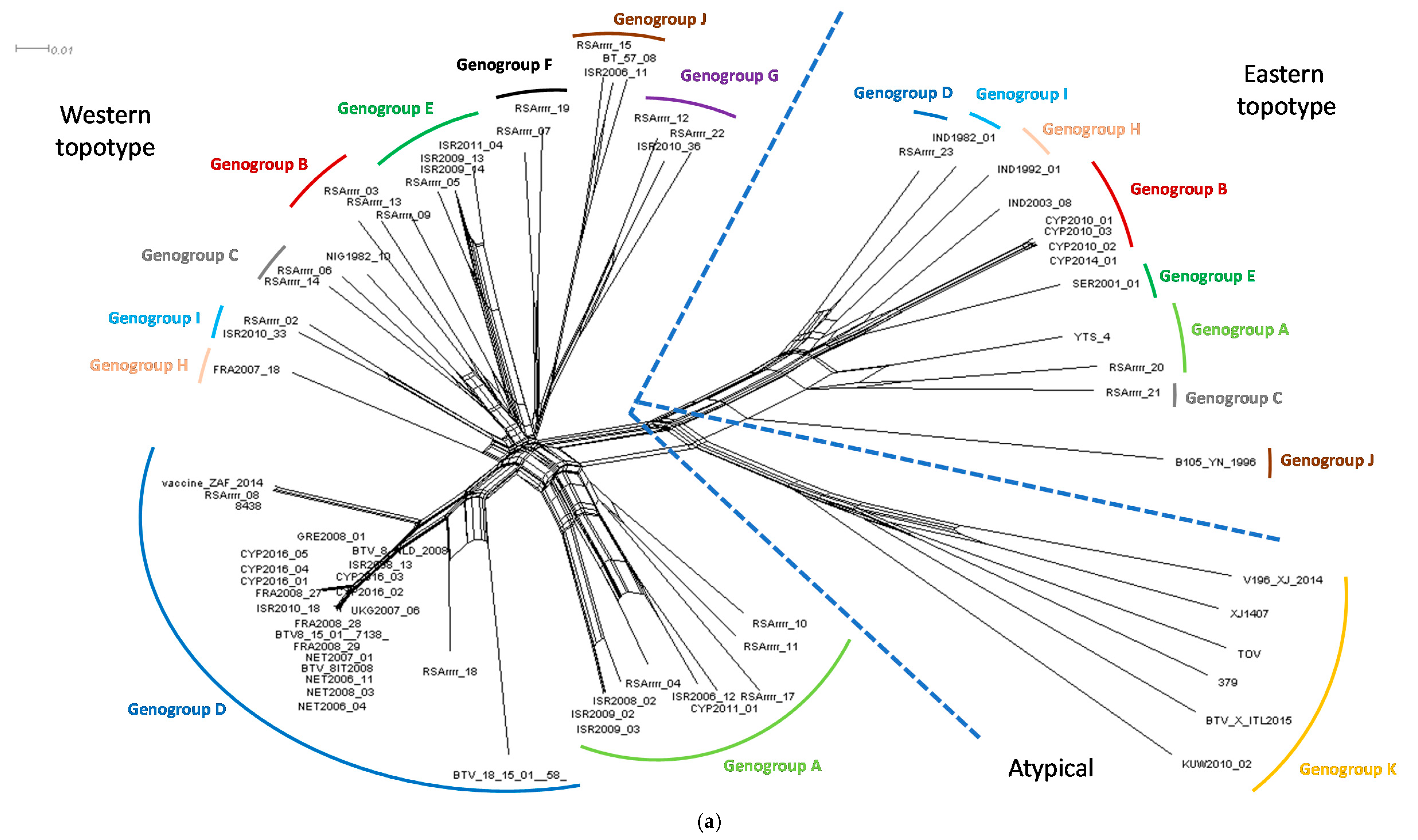 Viruses 12 00096 g002a