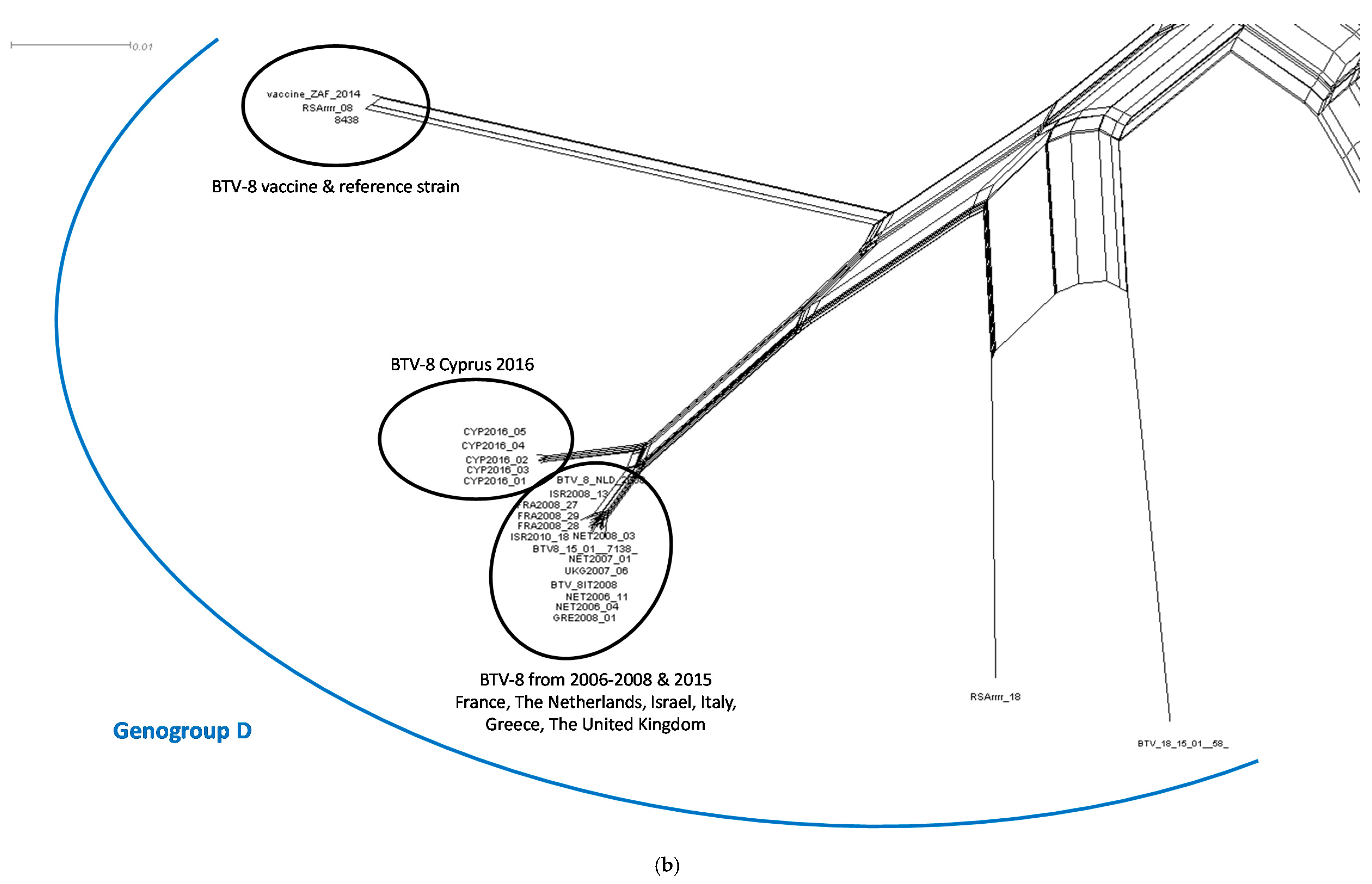 Viruses 12 00096 g002b