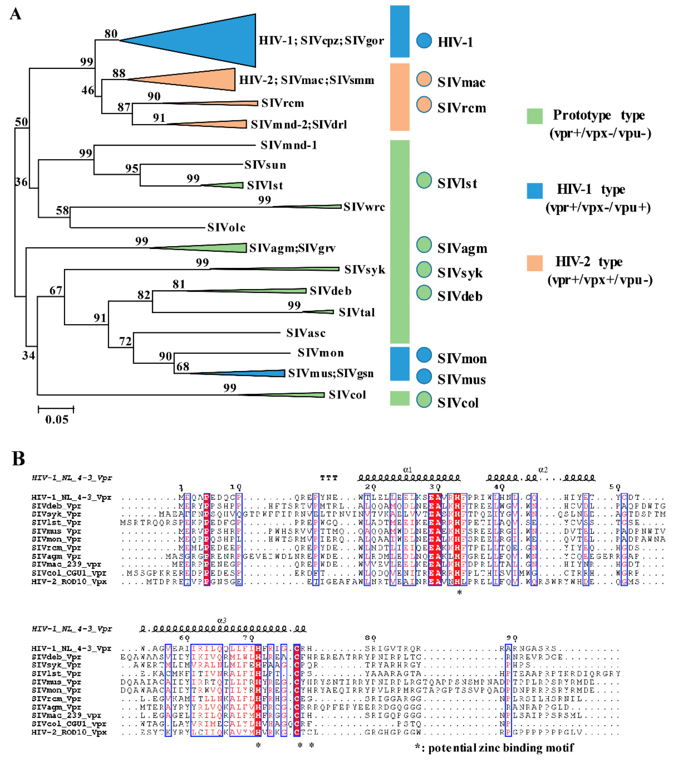 Viruses 12 00098 g001a