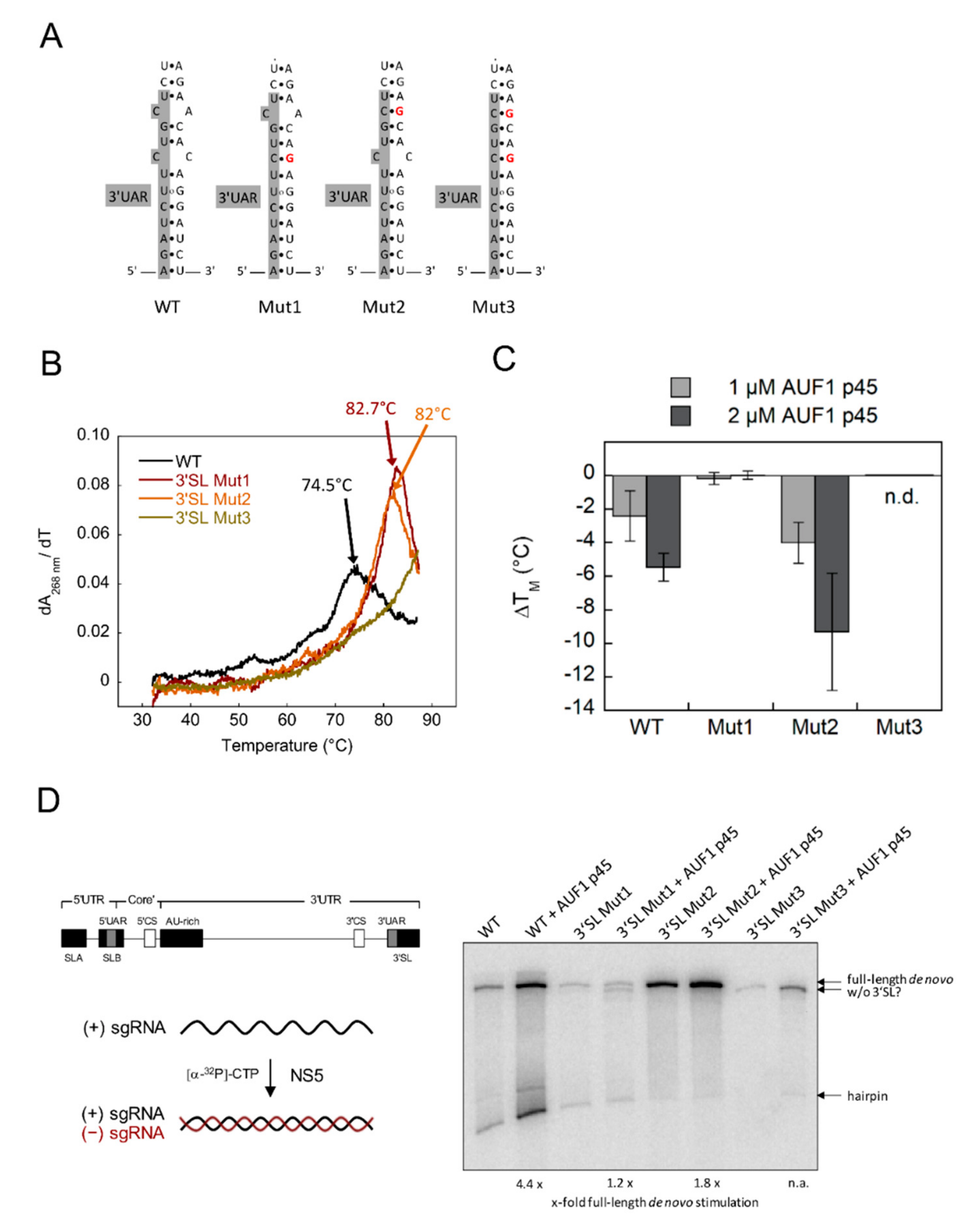 Viruses 12 00104 g002 Viruses 12 00104 g002
