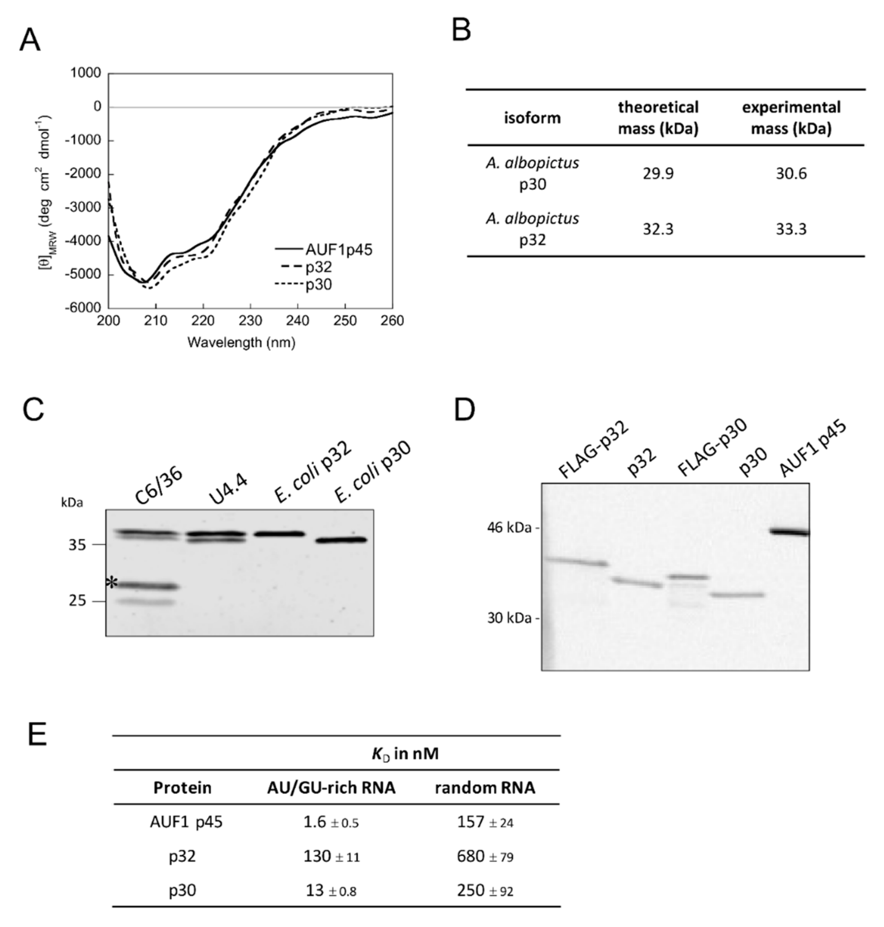 Viruses 12 00104 g006 Viruses 12 00104 g006