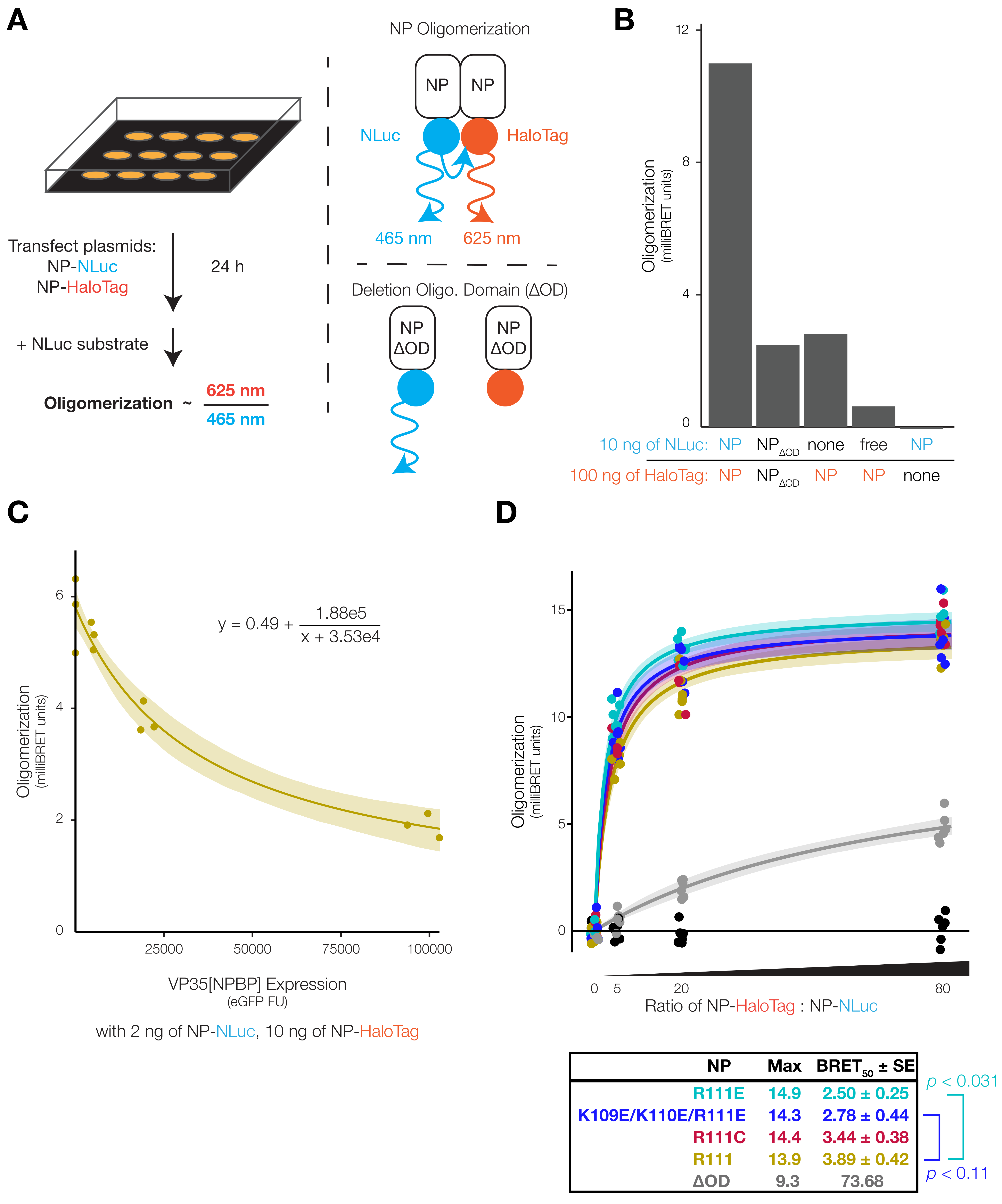 Viruses 12 00105 g003 Viruses 12 00105 g003