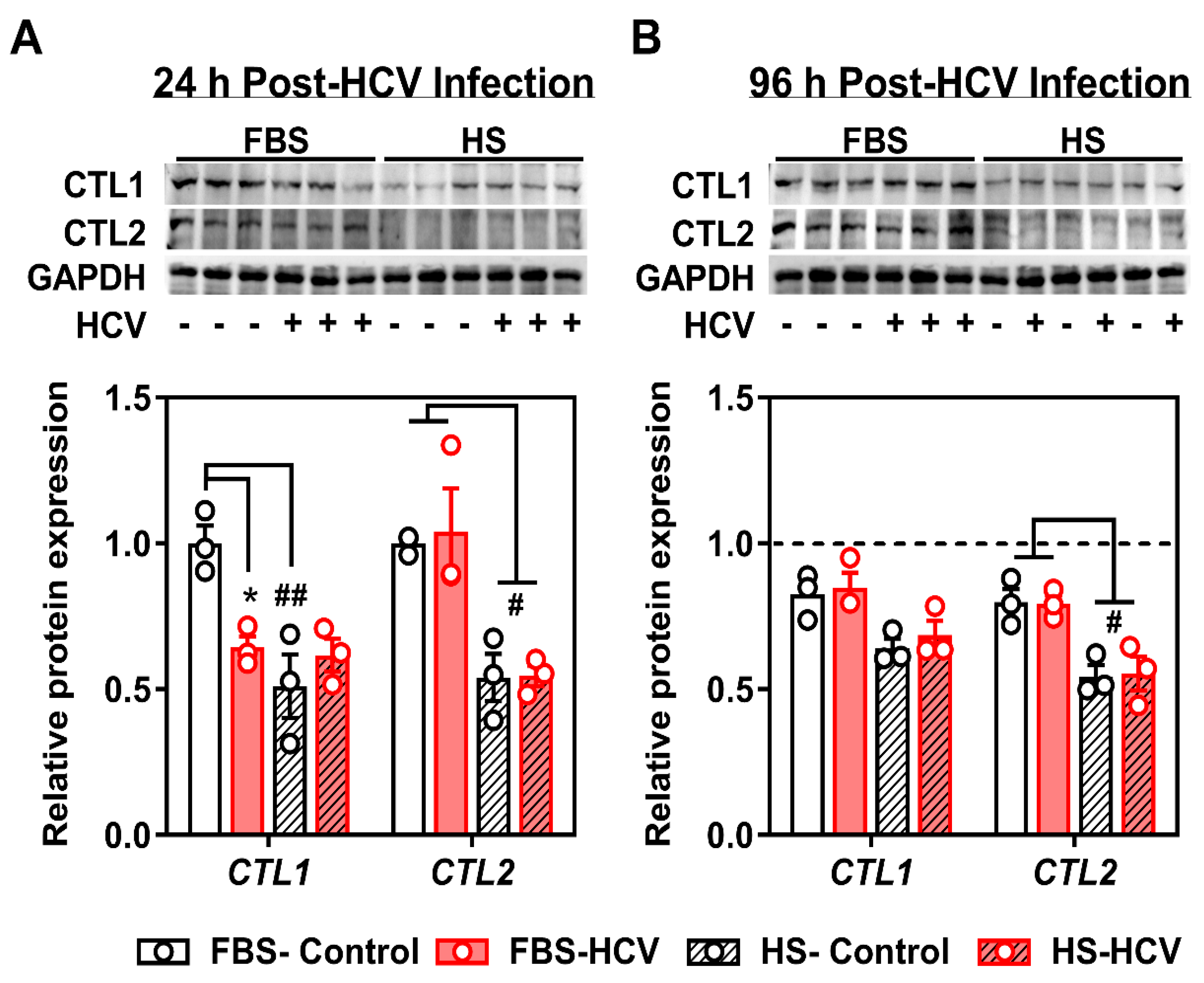 Viruses 12 00108 g003