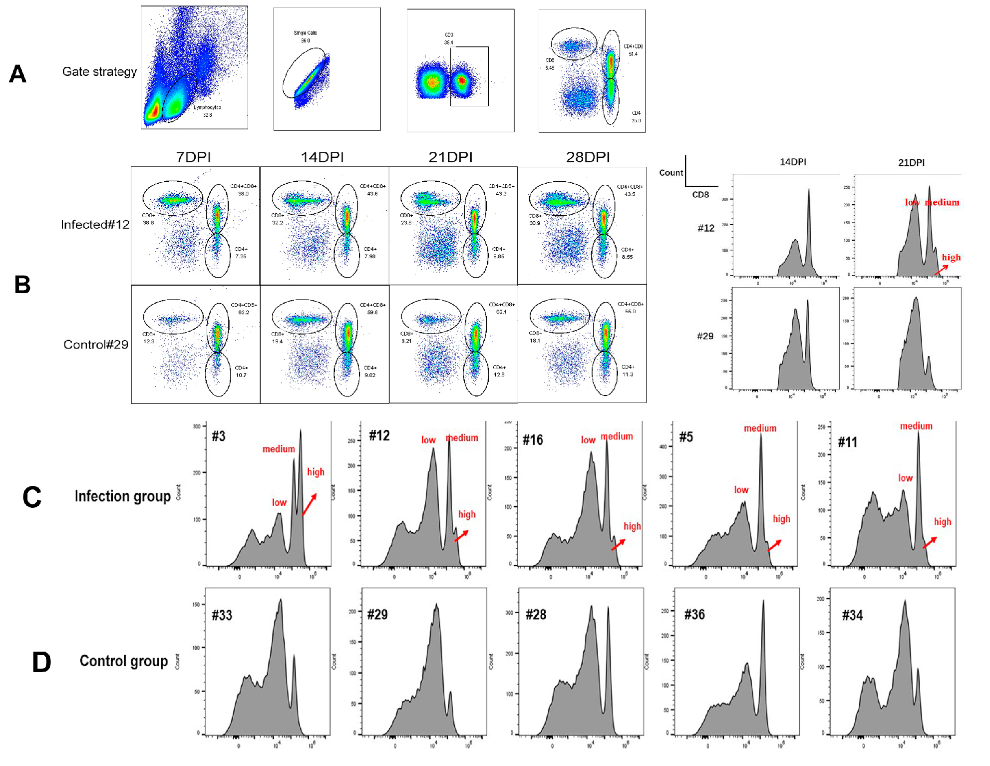 Viruses 12 00114 g006