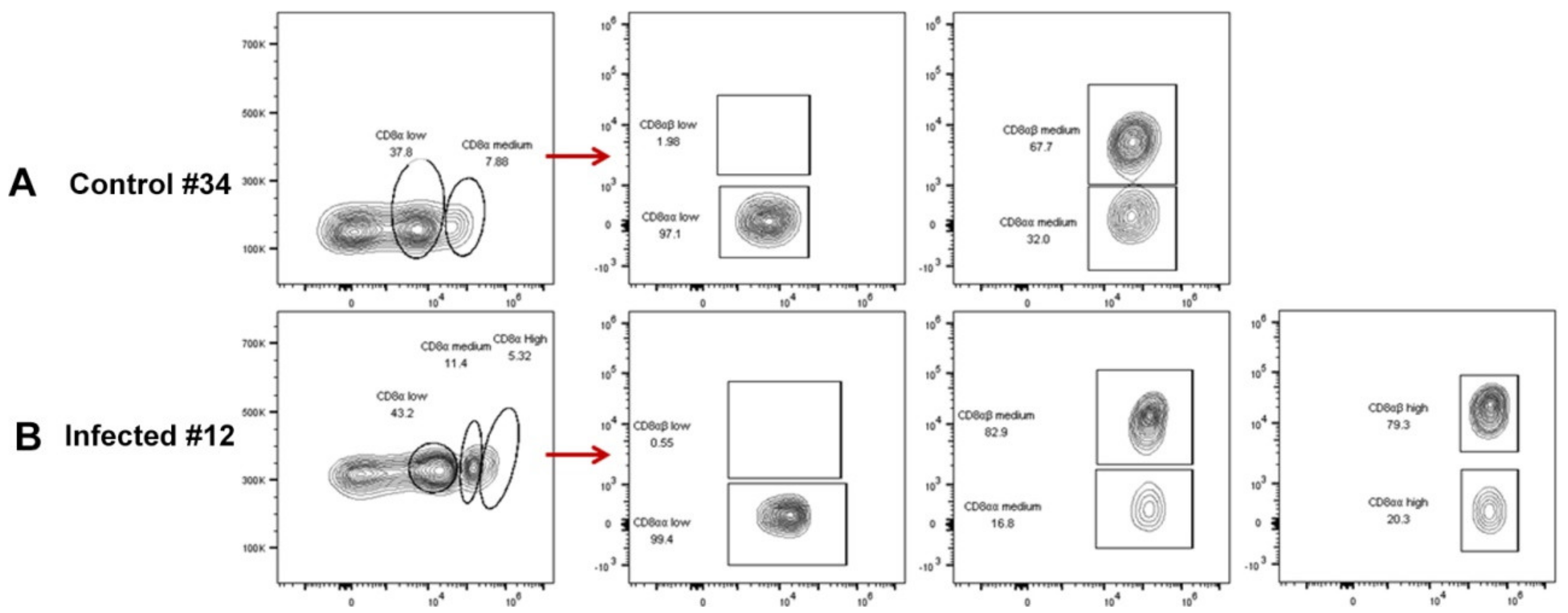 Viruses 12 00114 g008