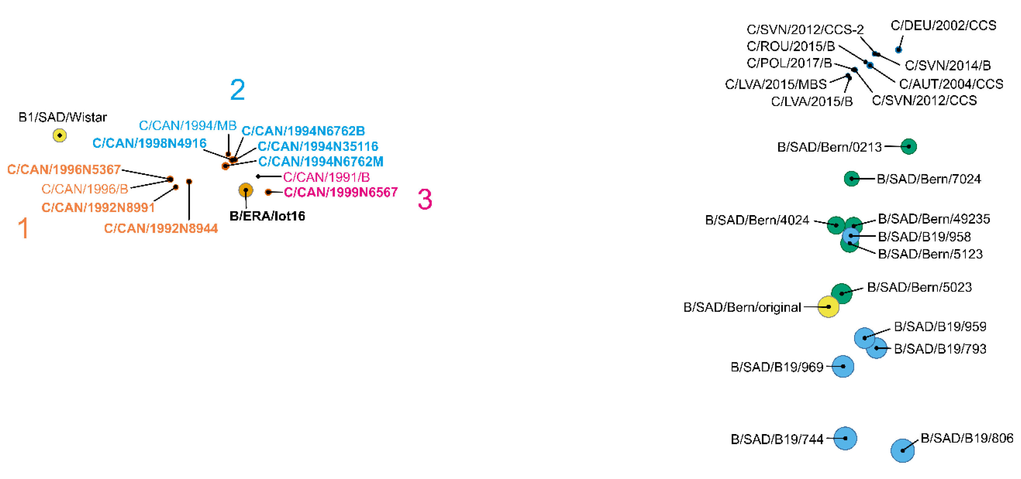 Viruses 12 00115 g001 Viruses 12 00115 g001
