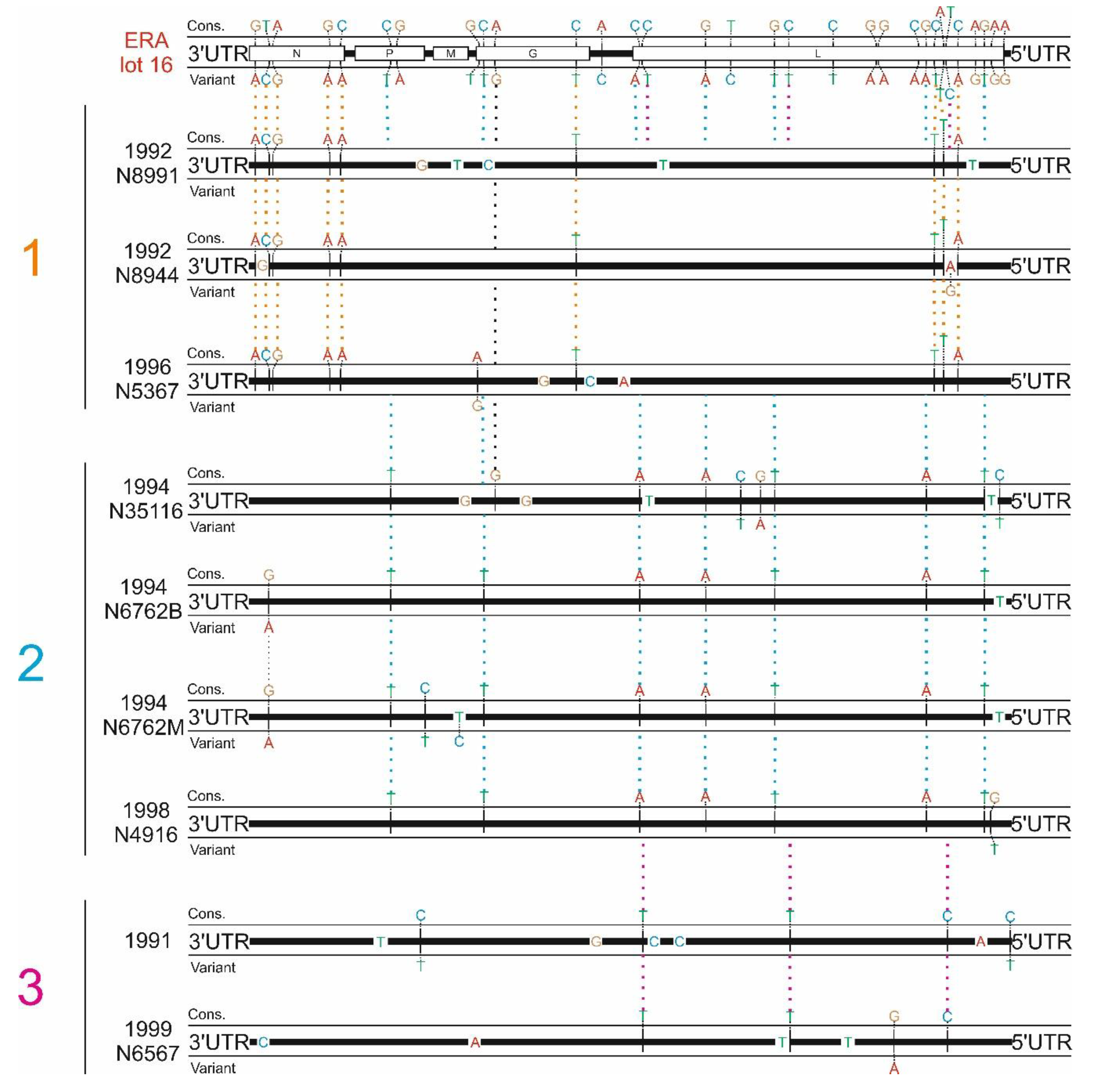 Viruses 12 00115 g002 Viruses 12 00115 g002