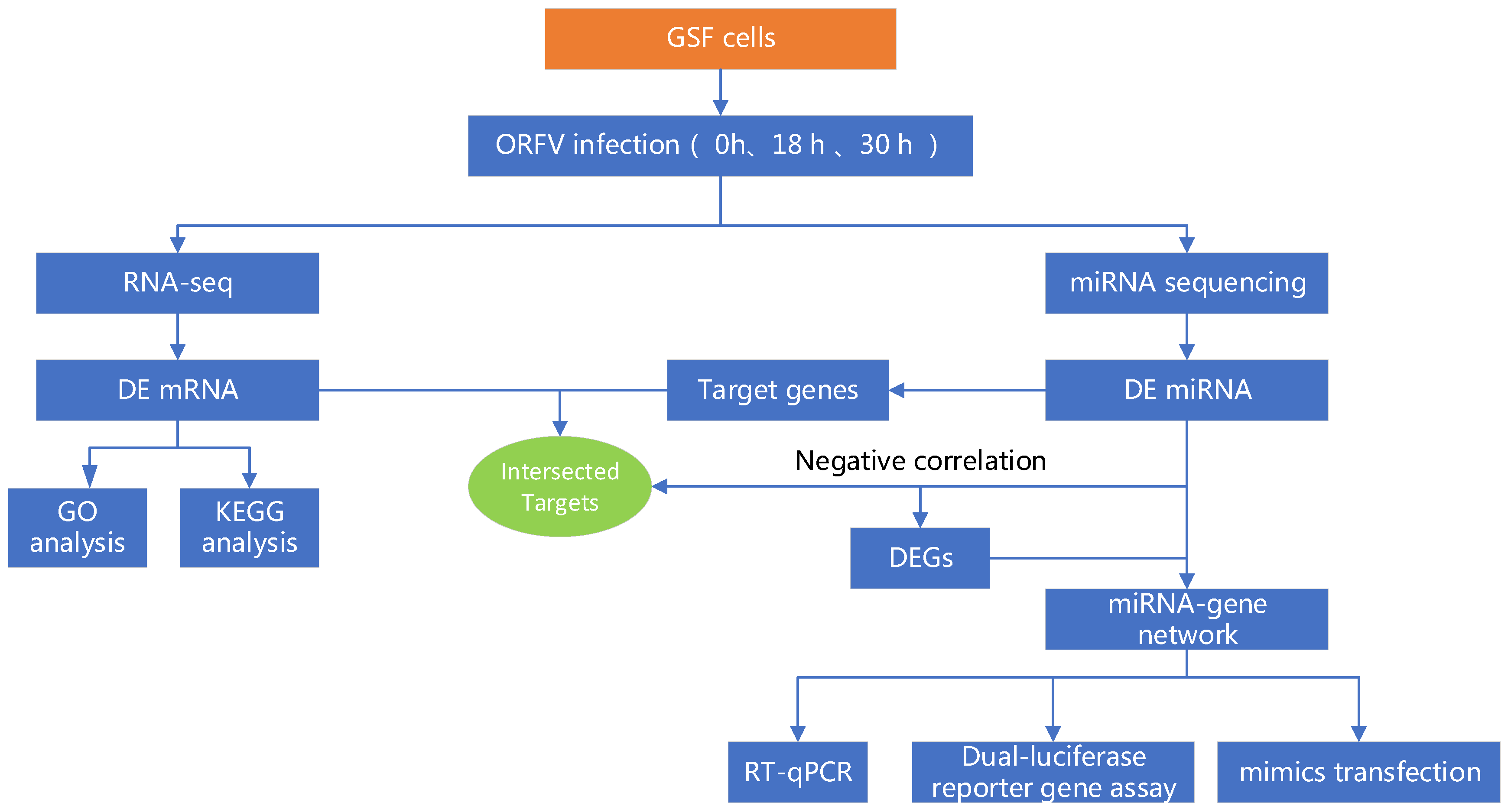 Viruses 12 00118 g001 Viruses 12 00118 g001