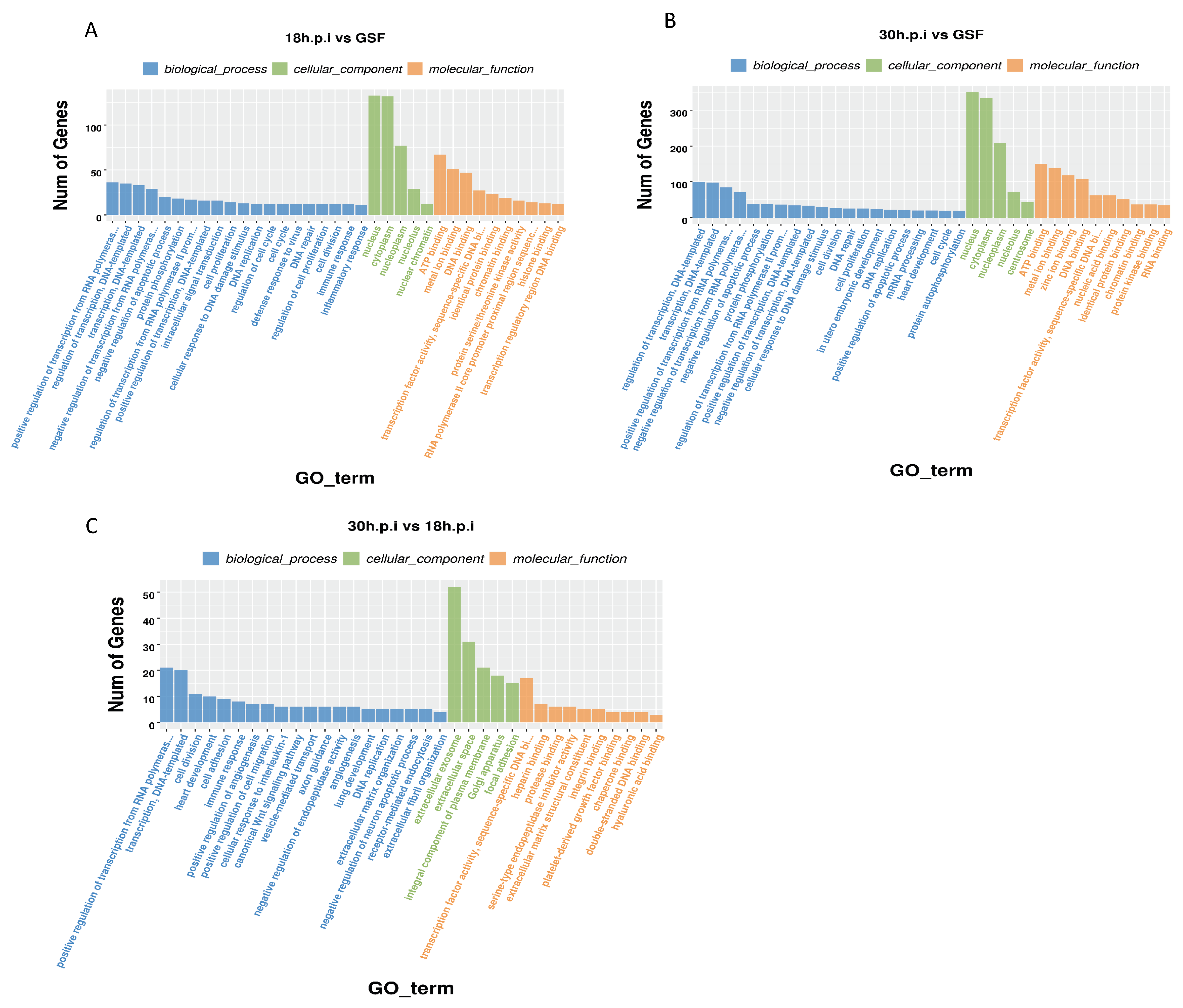 Viruses 12 00118 g005 Viruses 12 00118 g005