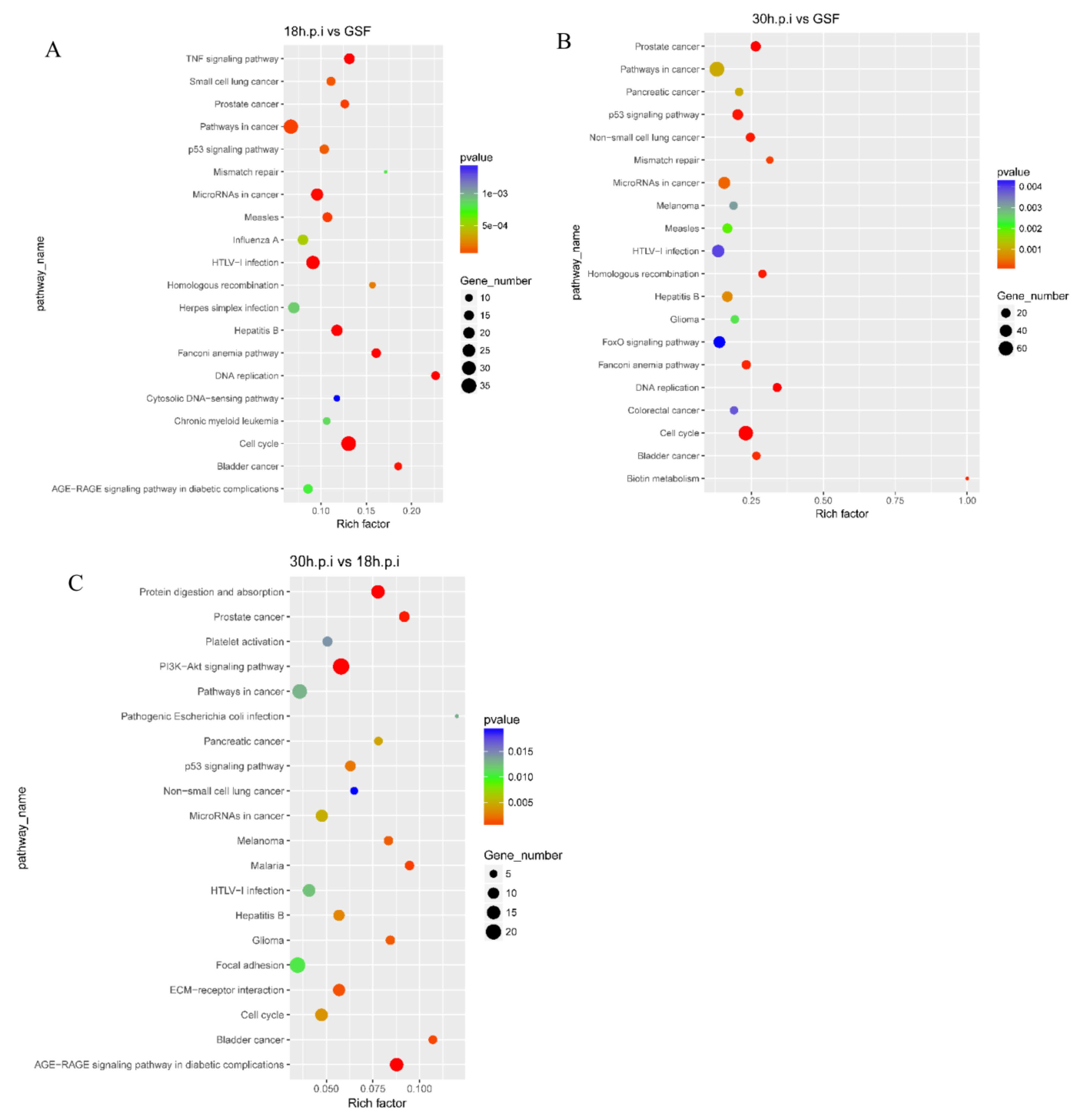 Viruses 12 00118 g007 Viruses 12 00118 g007