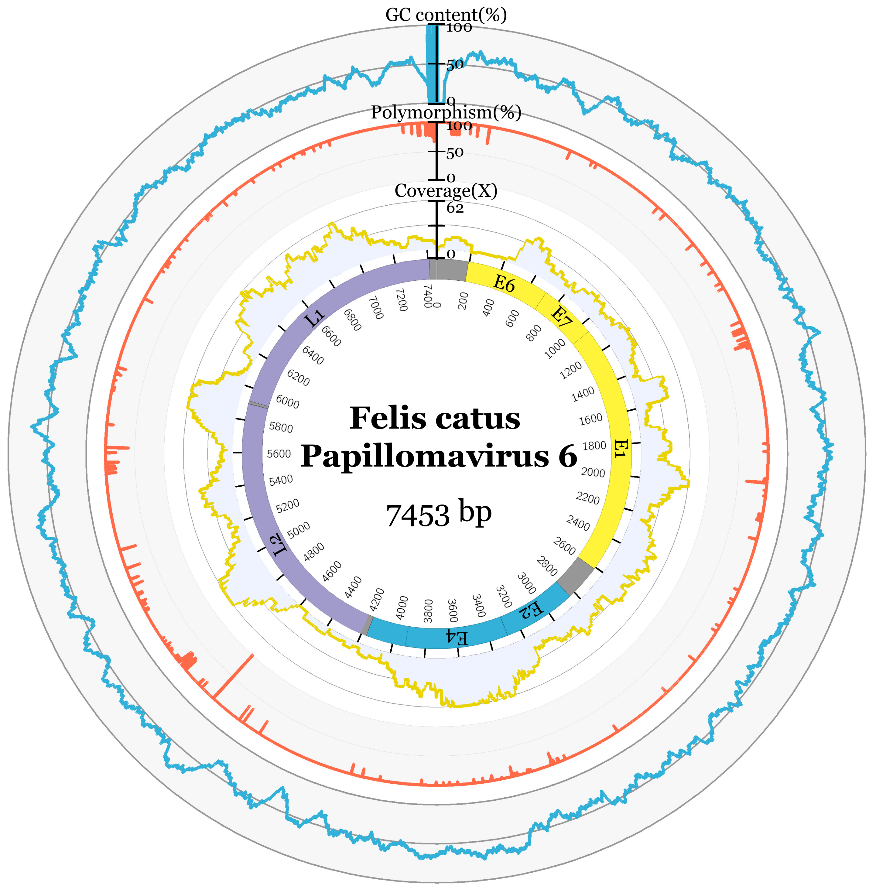 Viruses 12 00124 g002