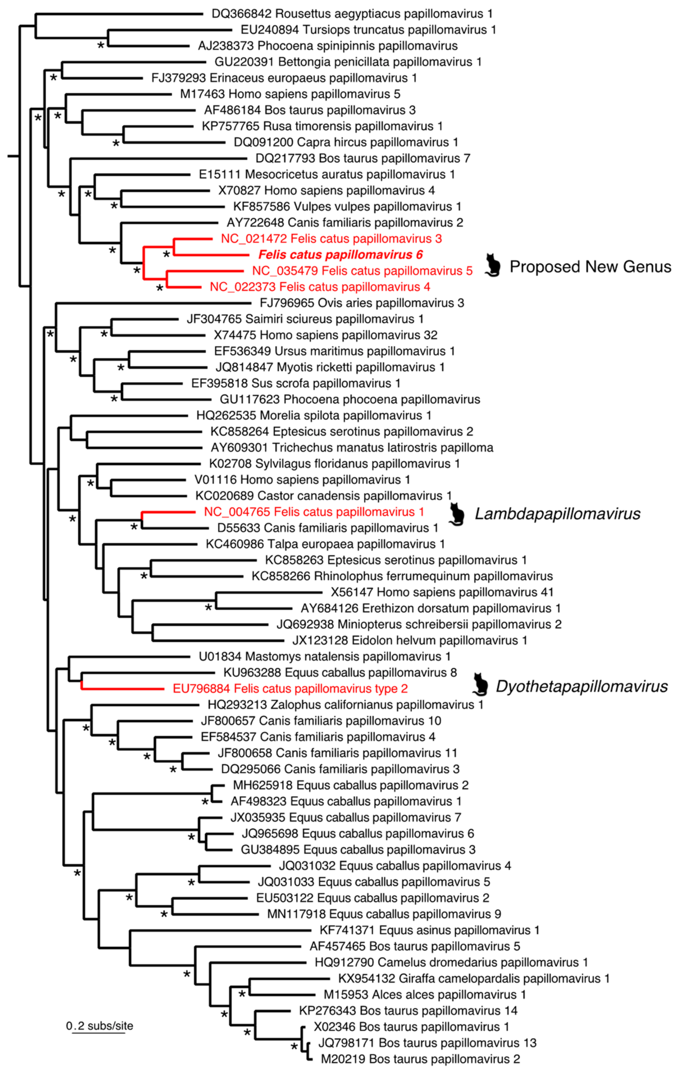 Viruses 12 00124 g003
