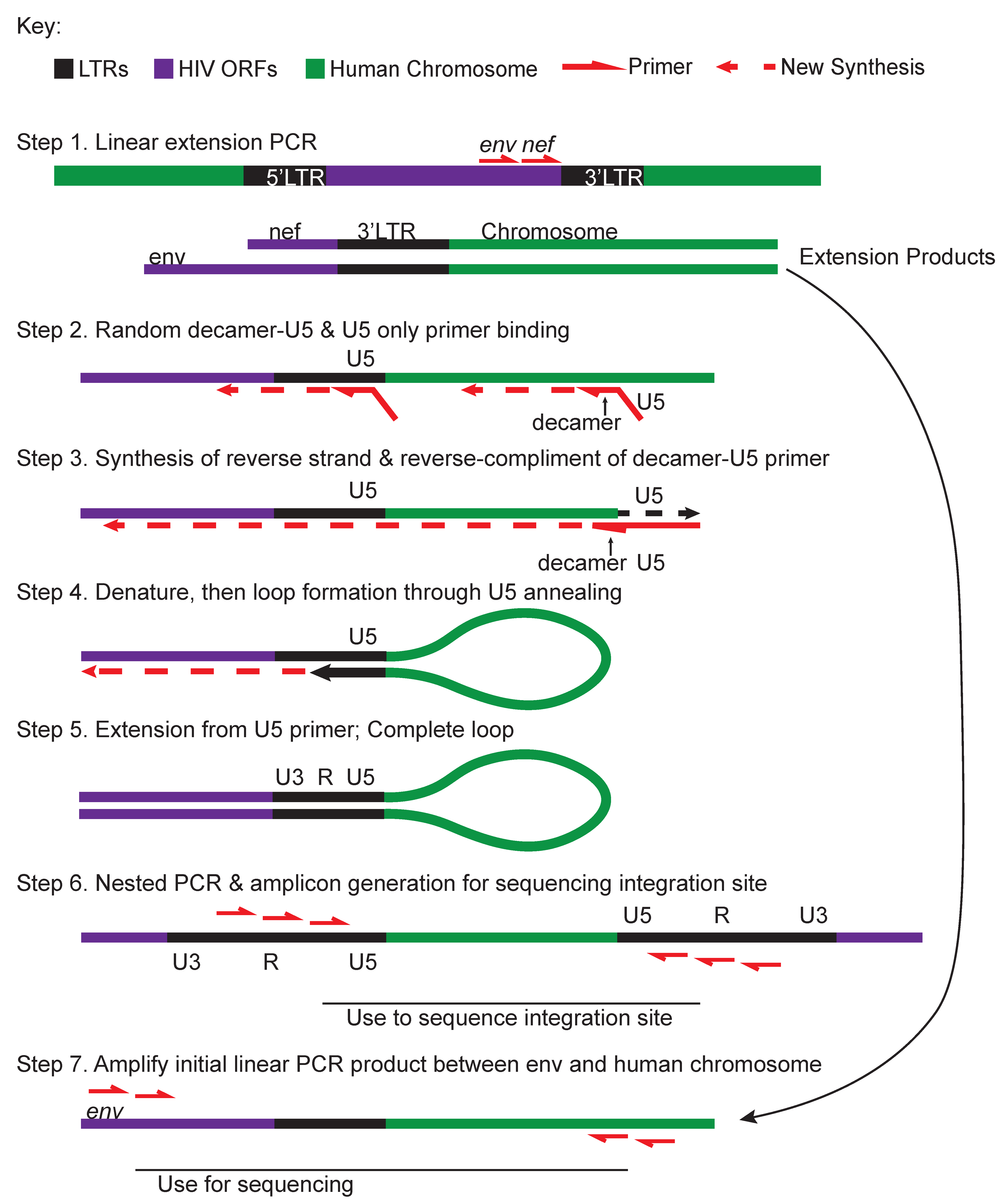 Viruses 12 00127 g005 Viruses 12 00127 g005