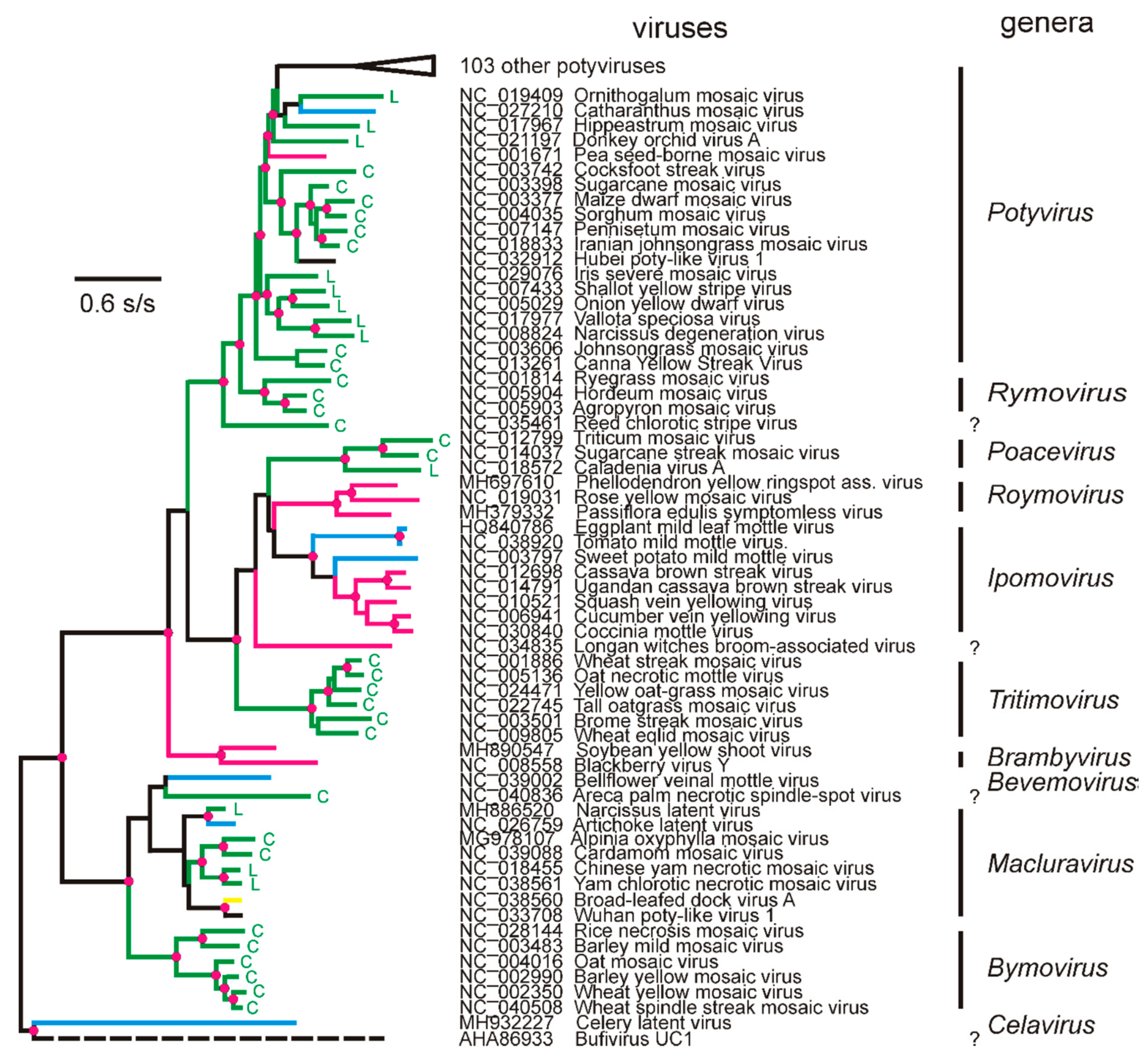 Viruses 12 00132 g002