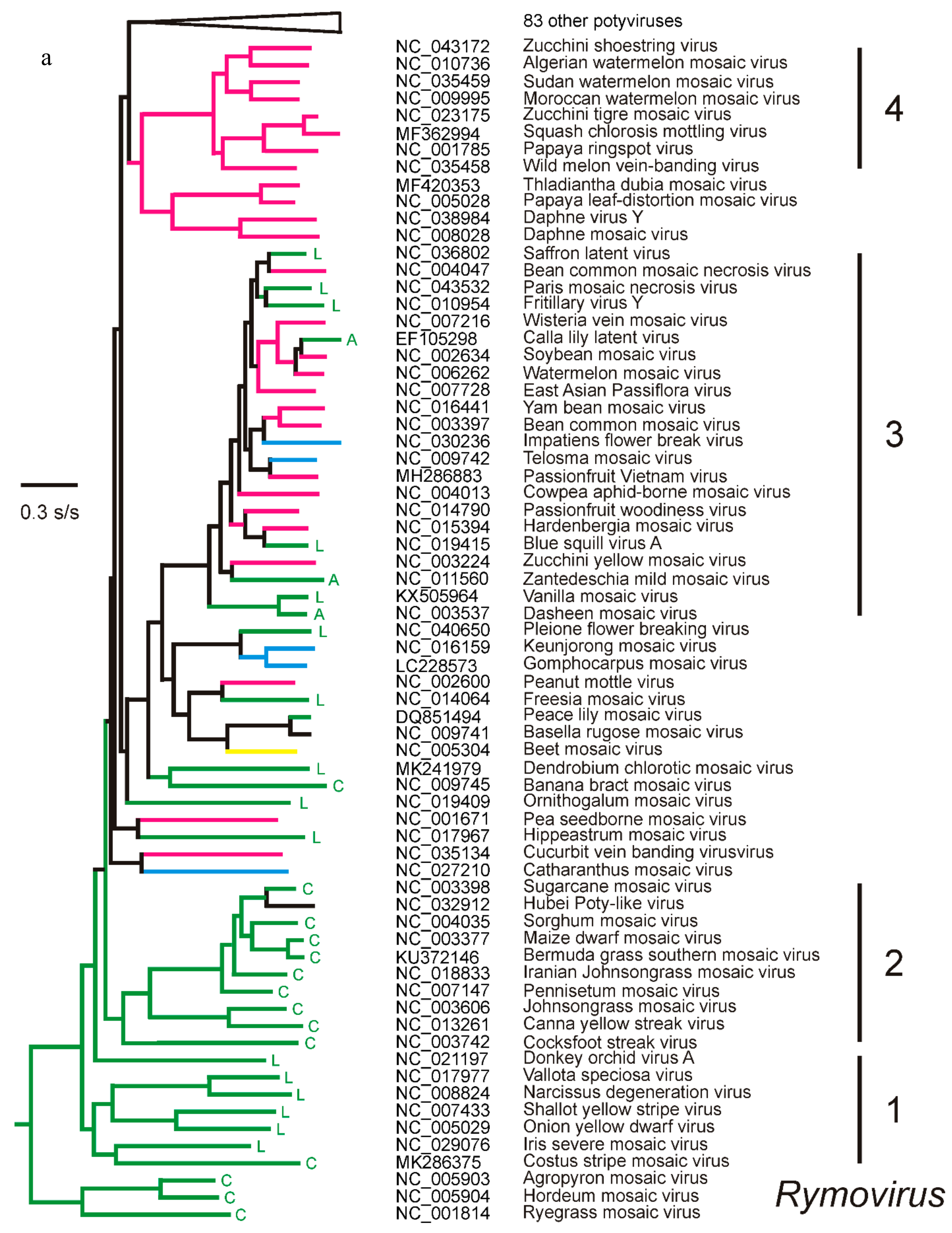 Viruses 12 00132 g003a