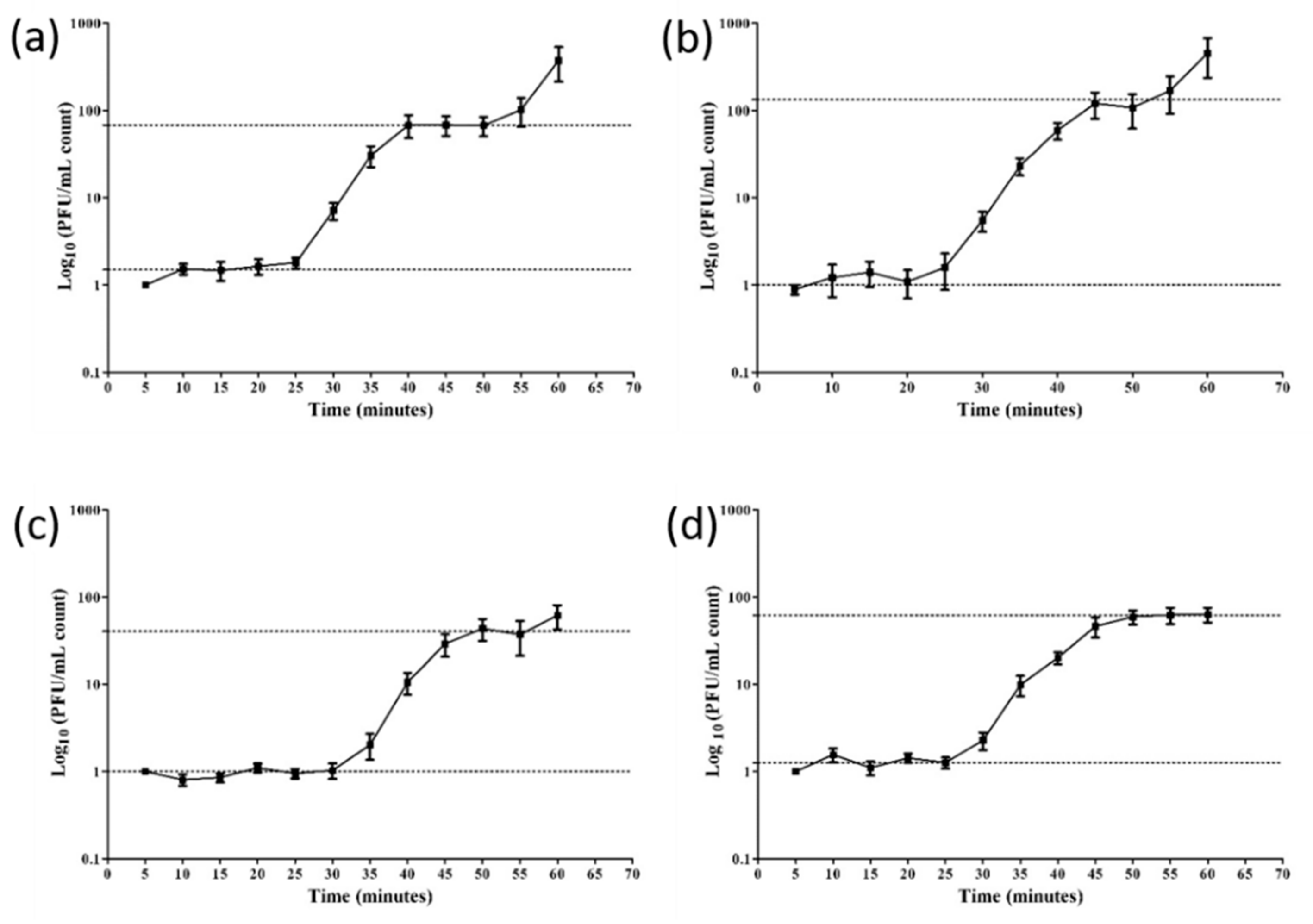 Viruses 12 00133 g004 Viruses 12 00133 g004