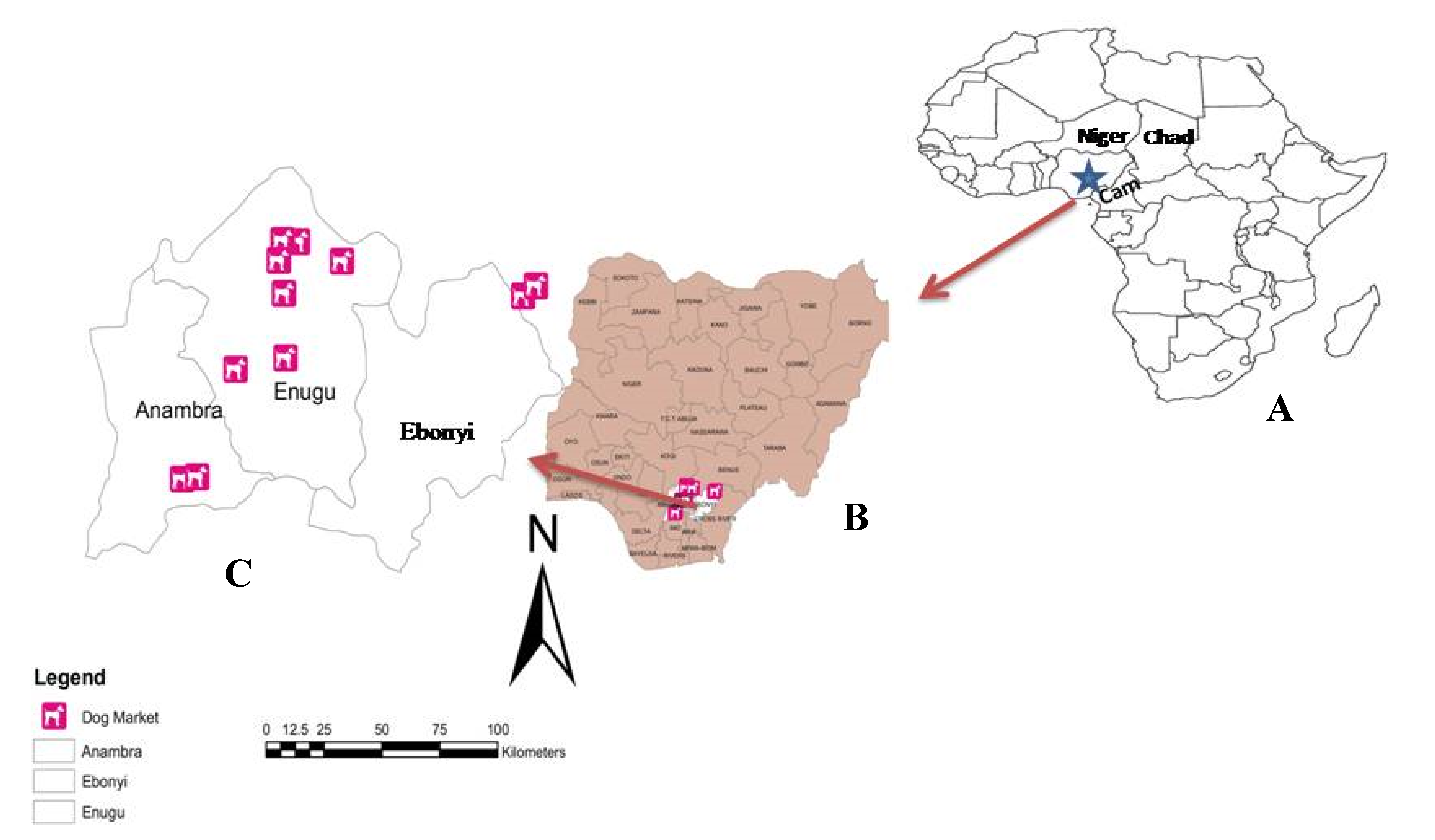 Viruses 12 00134 g001 Viruses 12 00134 g001