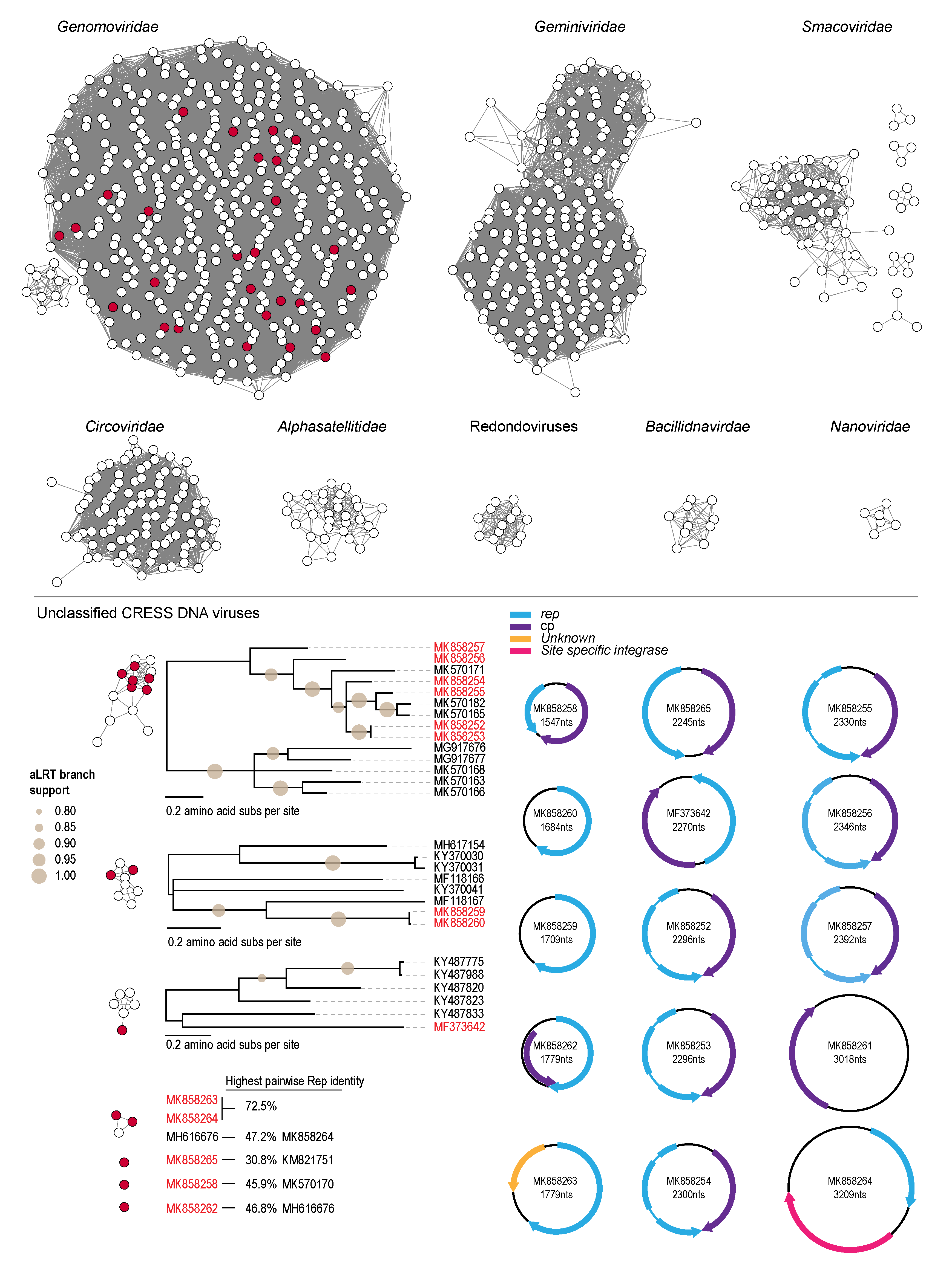 Viruses 12 00143 g003