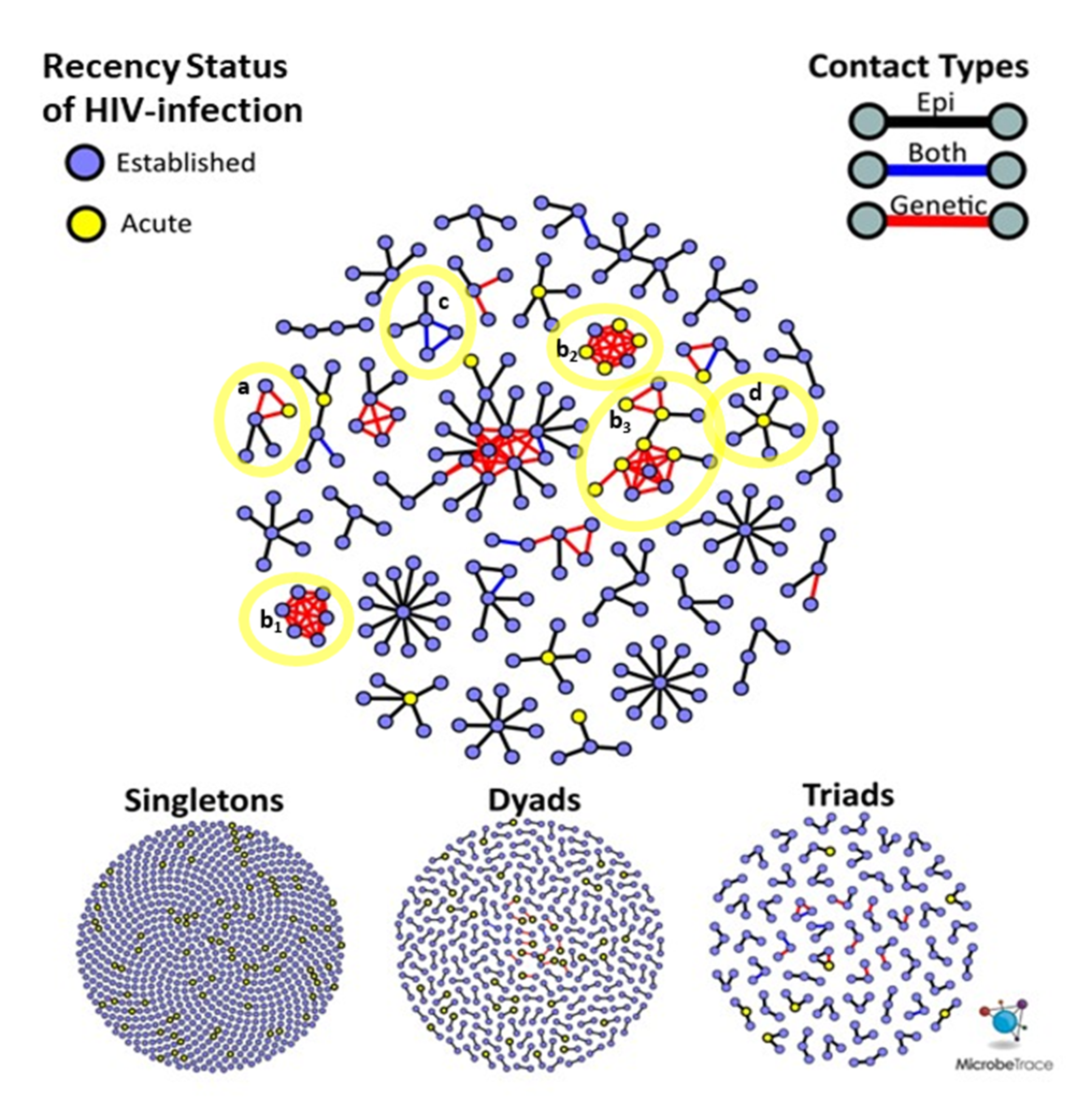 Viruses 12 00145 g003