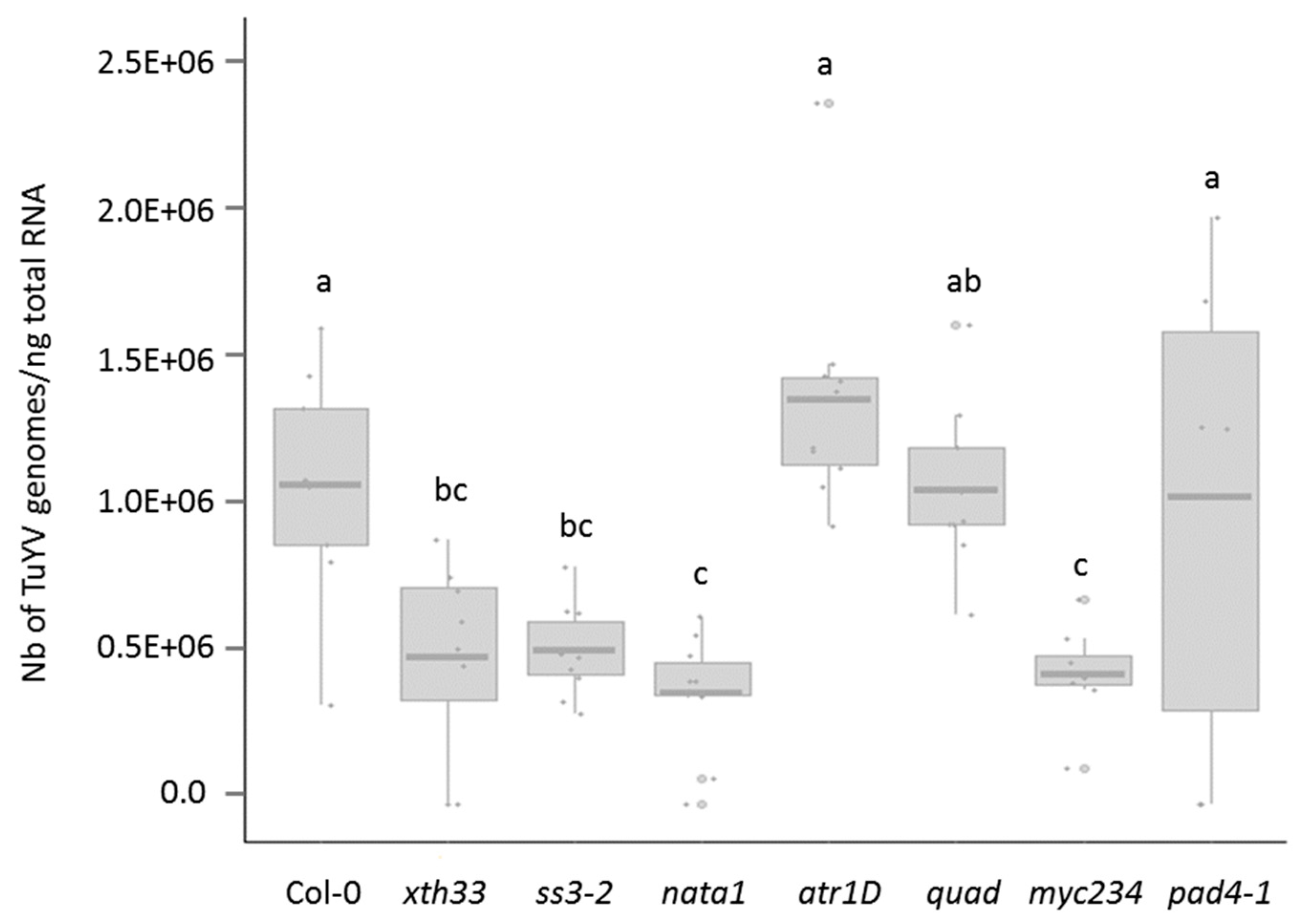 Viruses 12 00146 g001 Viruses 12 00146 g001