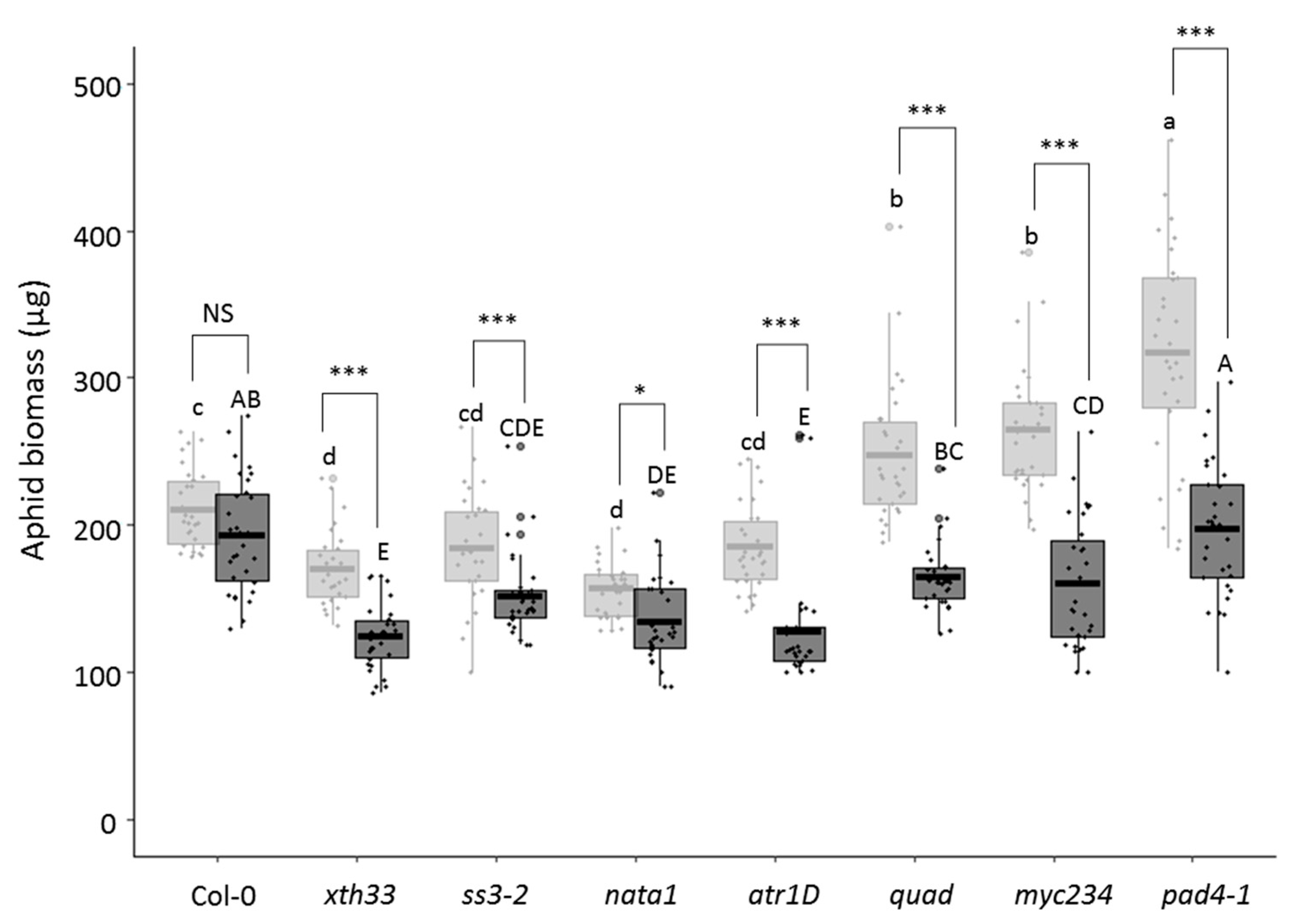 Viruses 12 00146 g002 Viruses 12 00146 g002