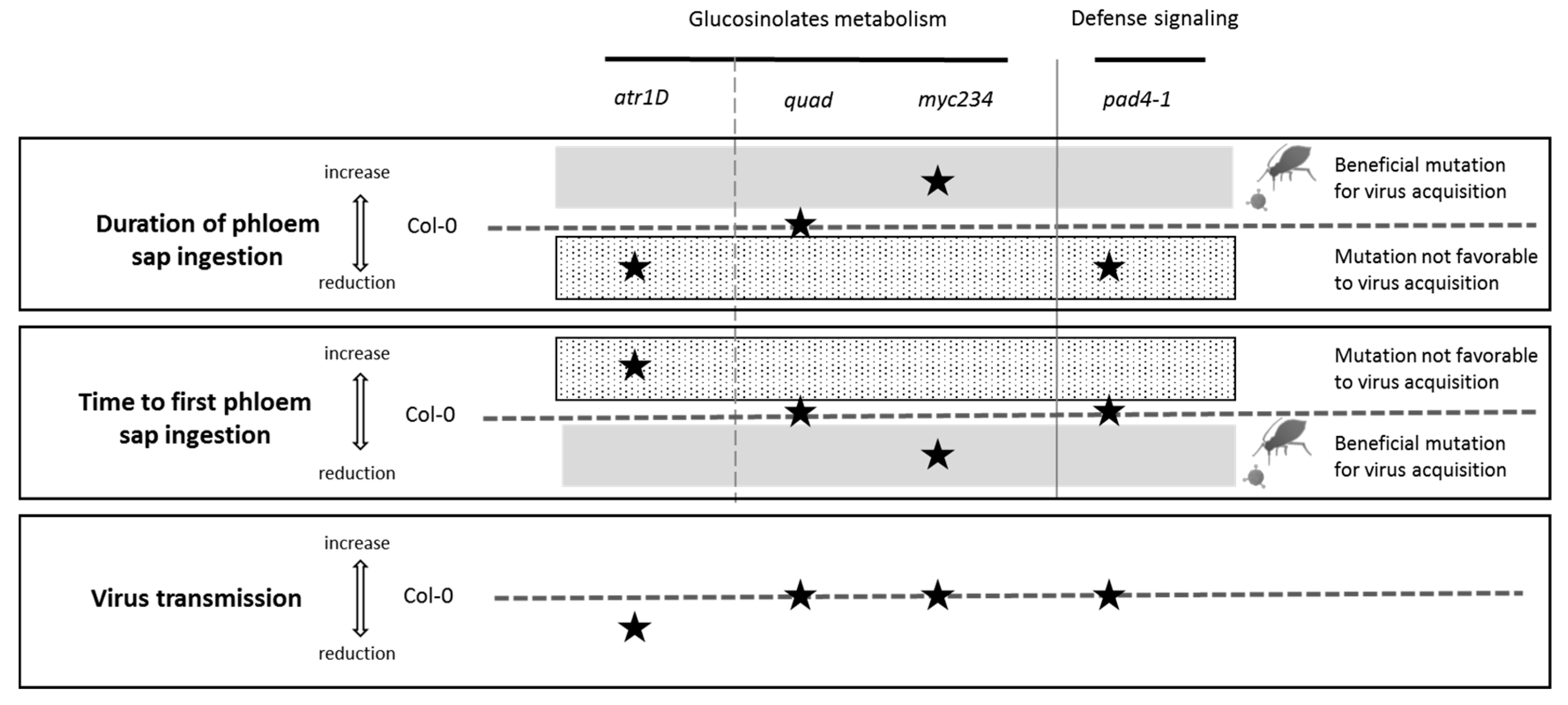 Viruses 12 00146 g003 Viruses 12 00146 g003