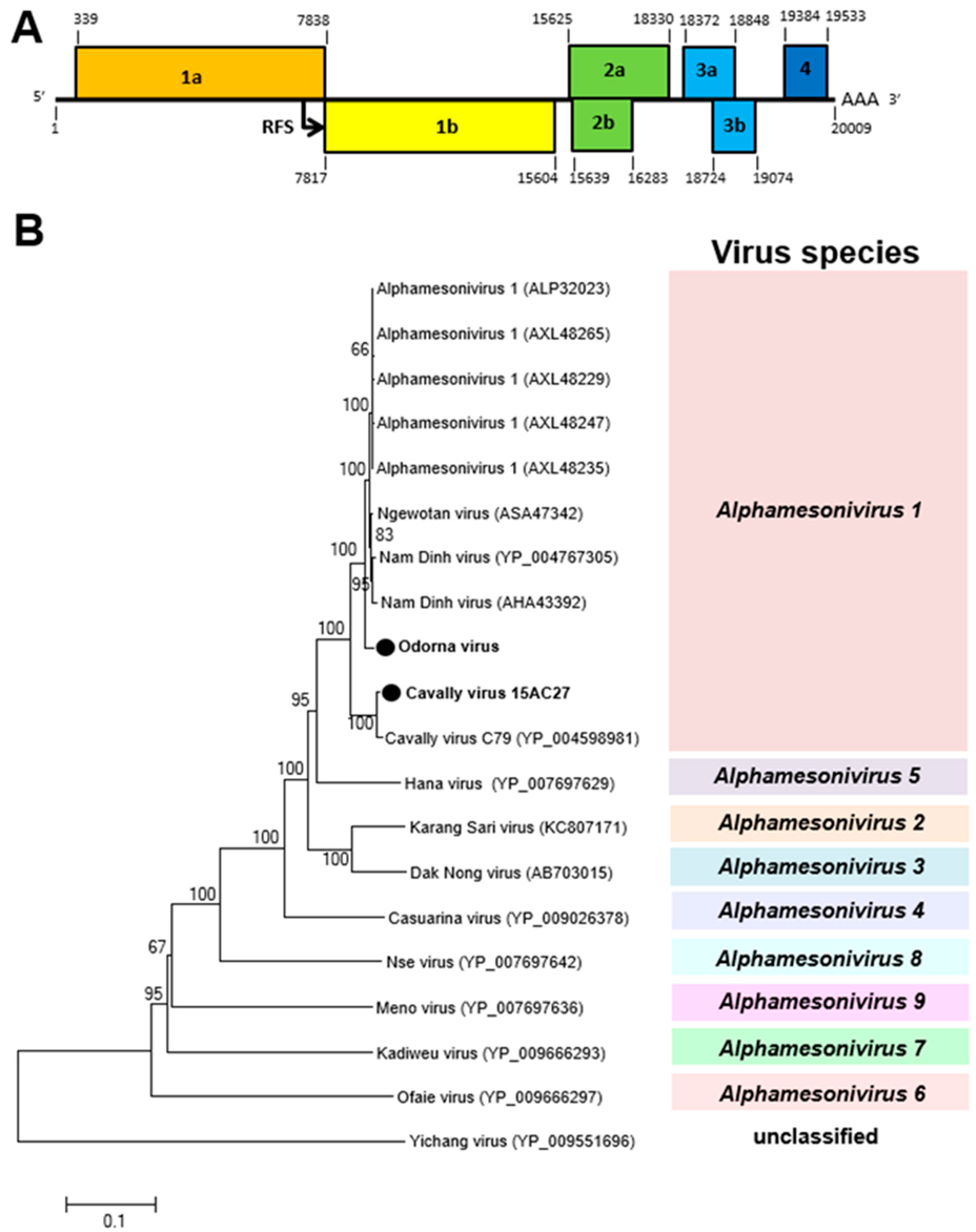 Viruses 12 00147 g005 Viruses 12 00147 g005