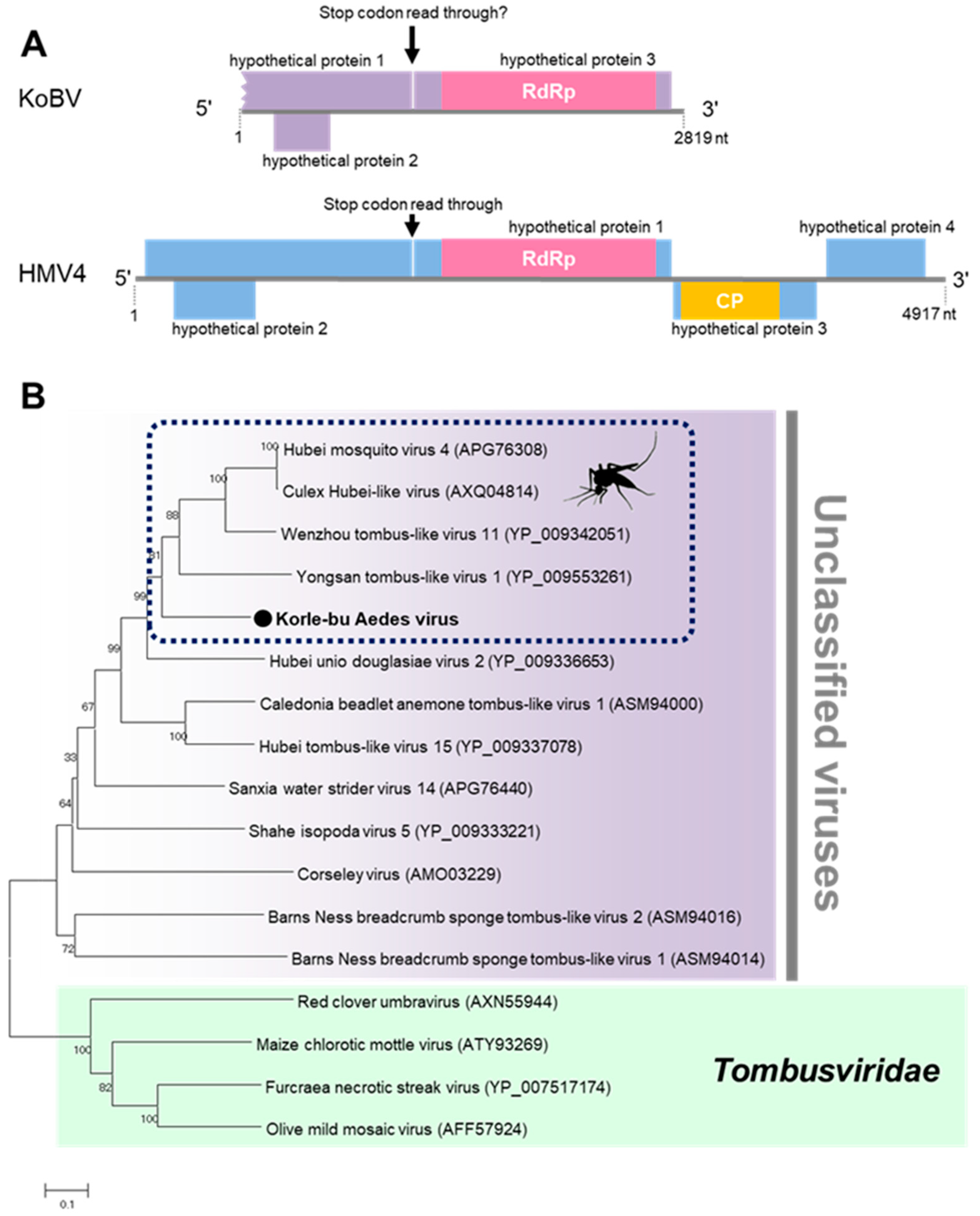 Viruses 12 00147 g009 Viruses 12 00147 g009