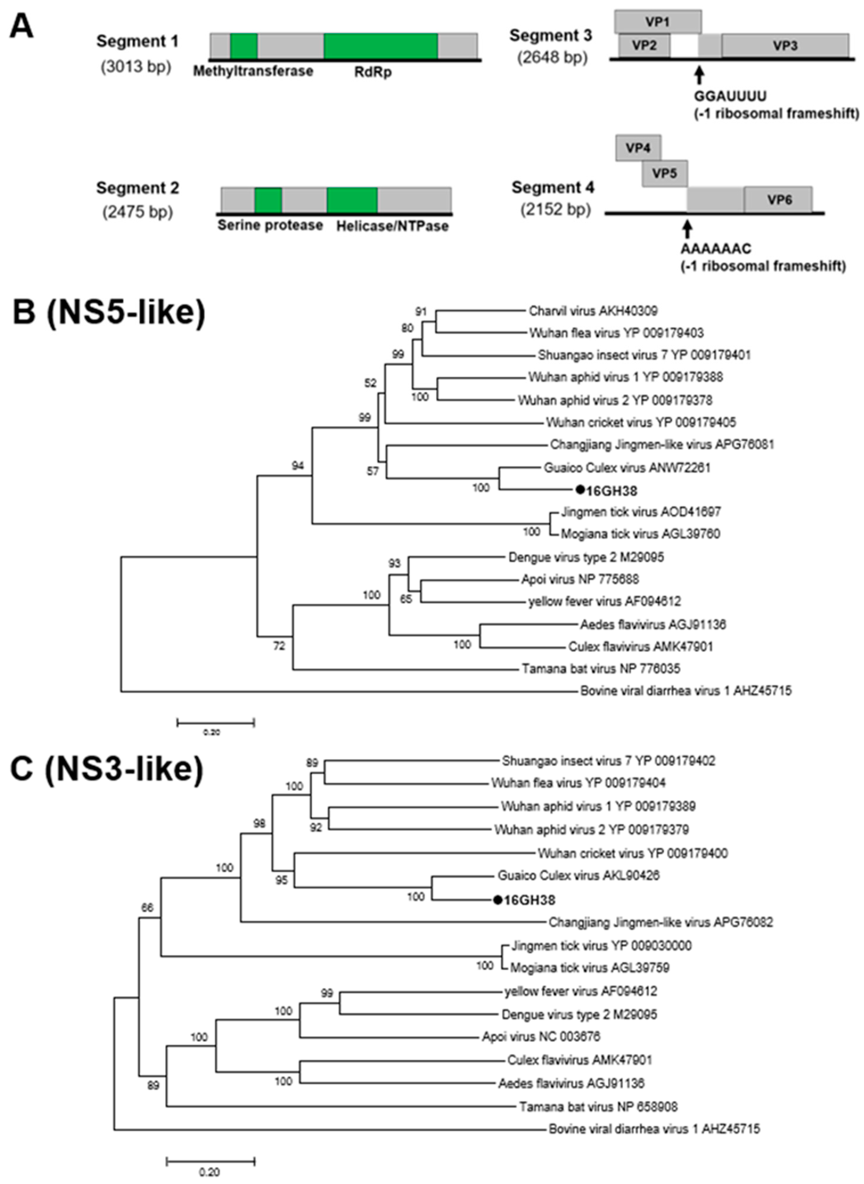 Viruses 12 00147 g010 Viruses 12 00147 g010