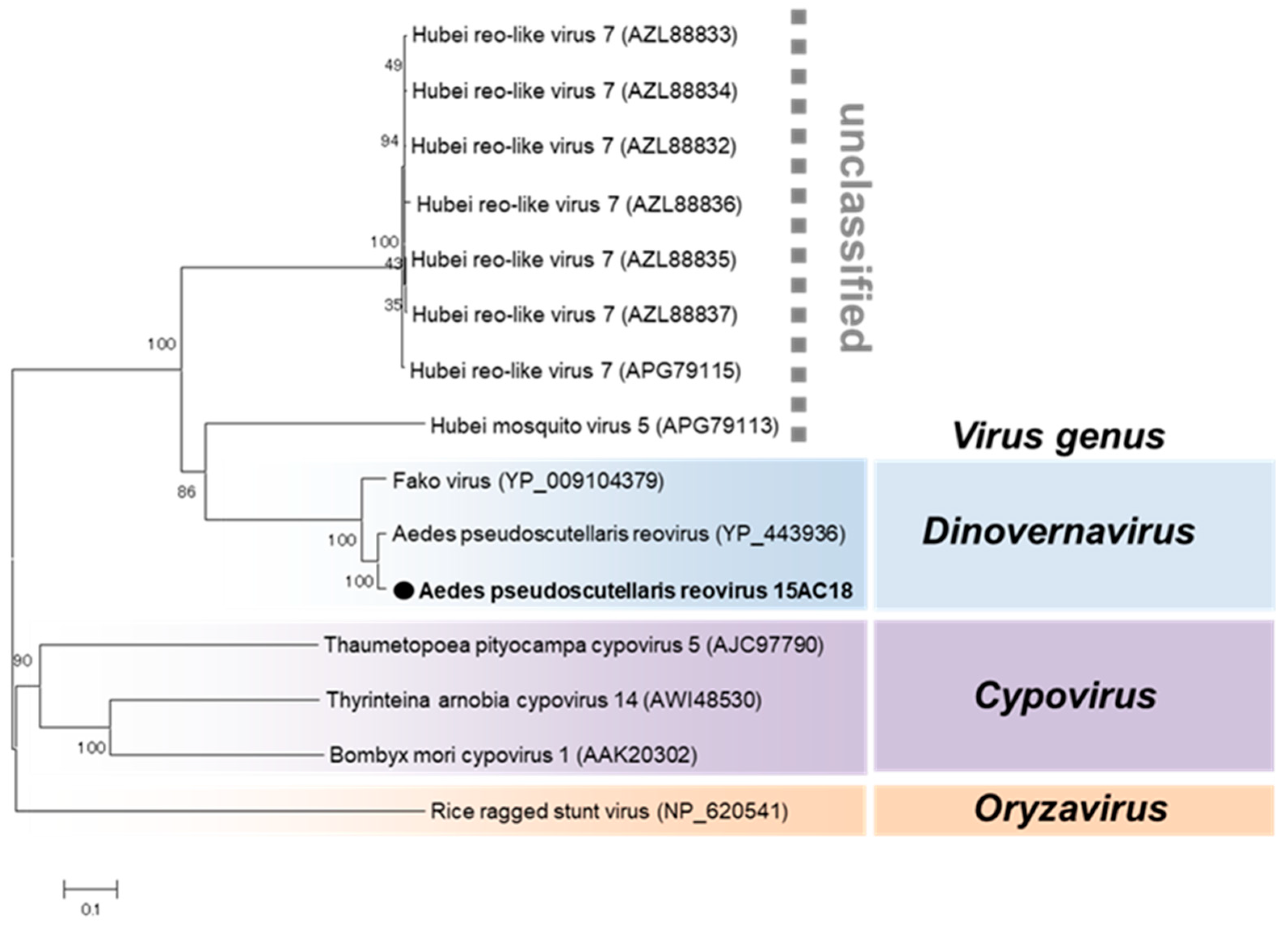 Viruses 12 00147 g012 Viruses 12 00147 g012