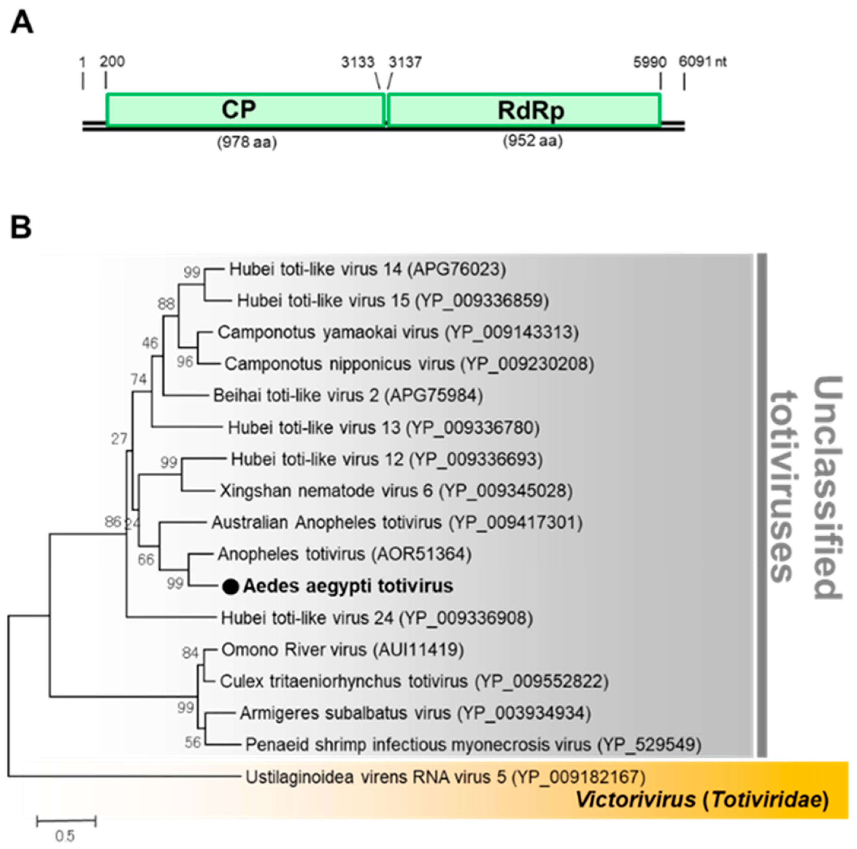 Viruses 12 00147 g013 Viruses 12 00147 g013